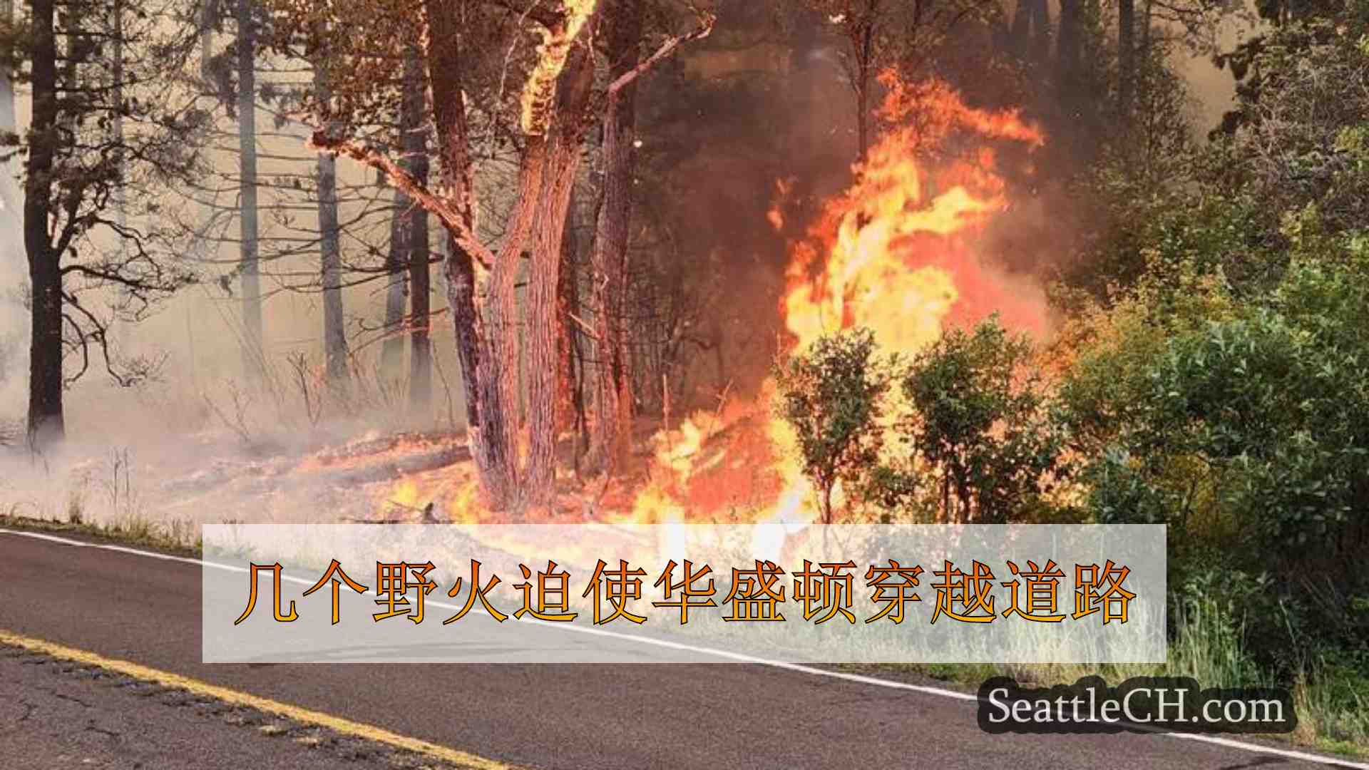 几个野火迫使华盛顿穿越道路