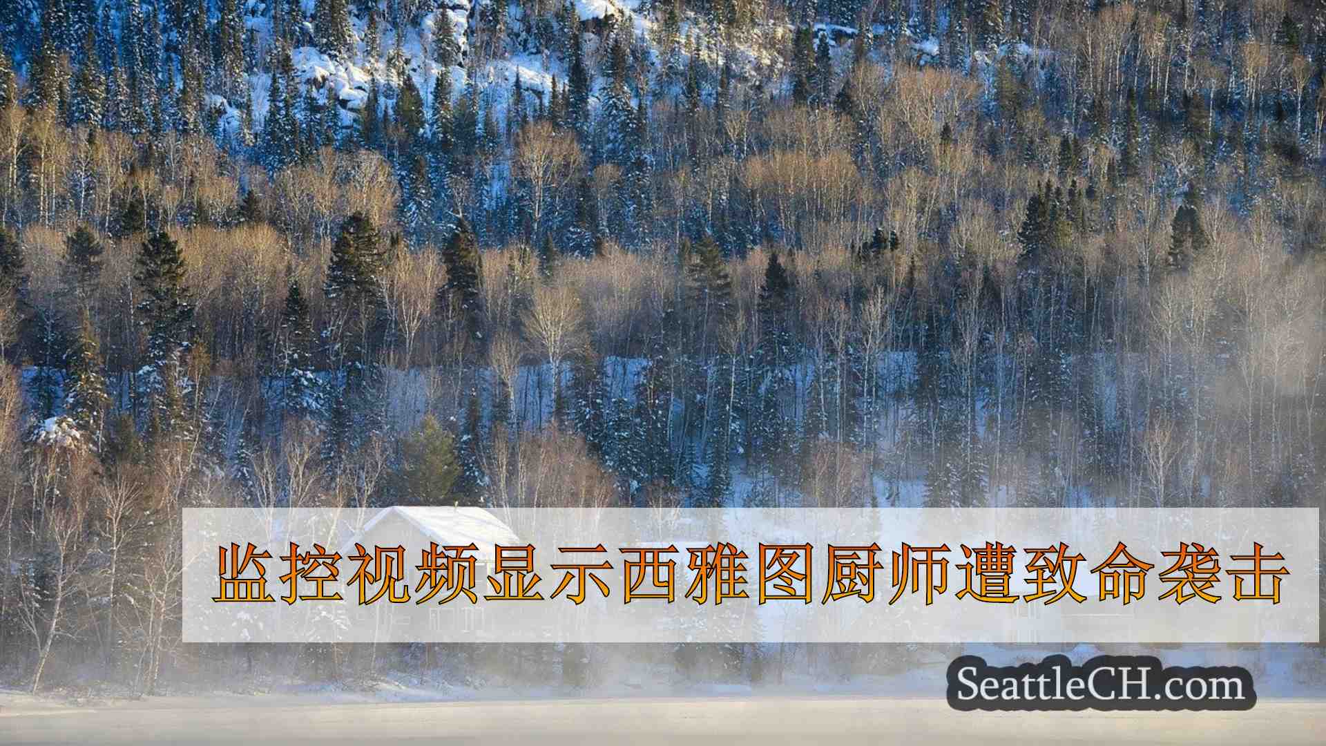 监控视频显示西雅图厨师遭致命袭击