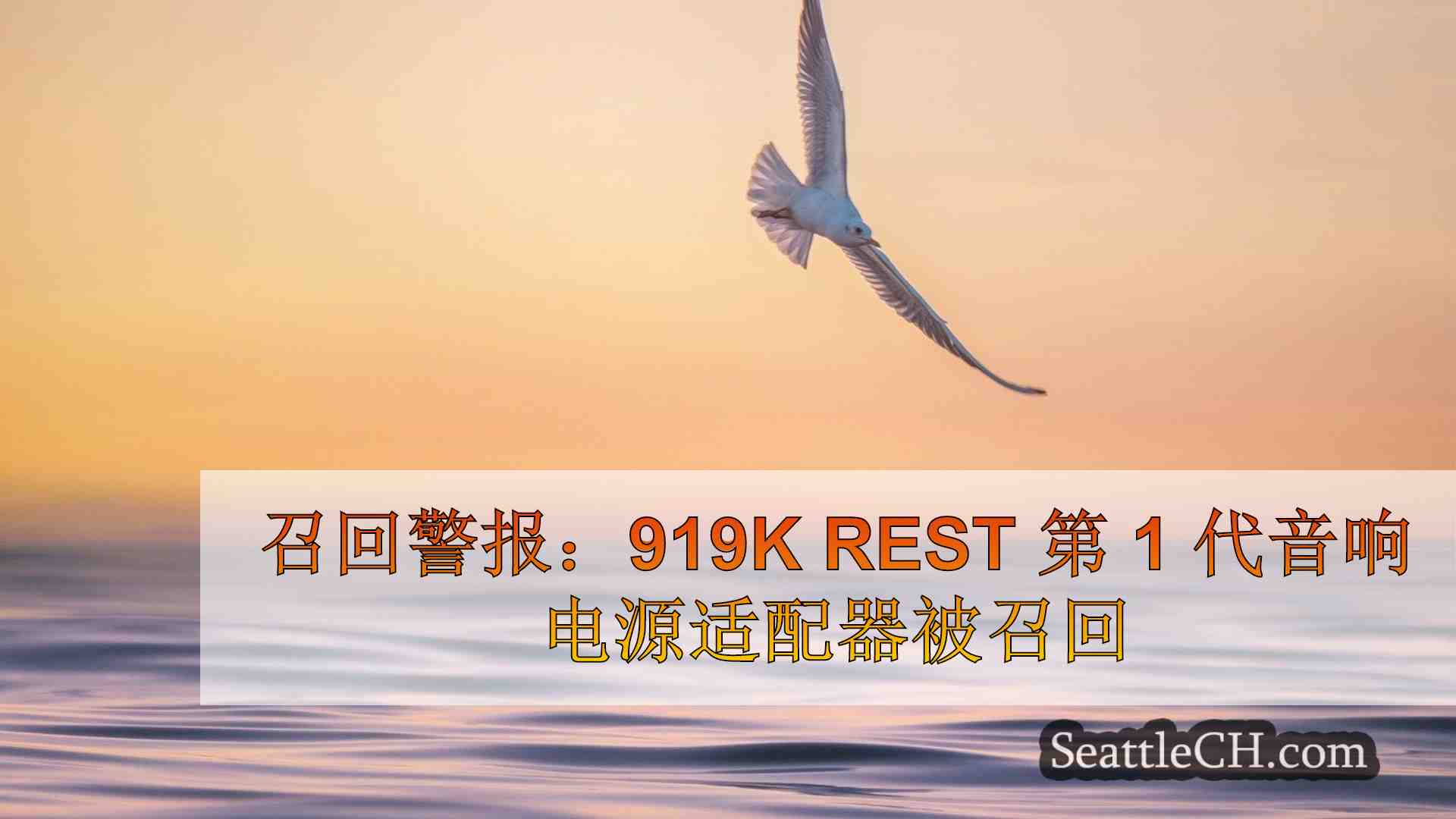 西雅图新闻 SeattleCH