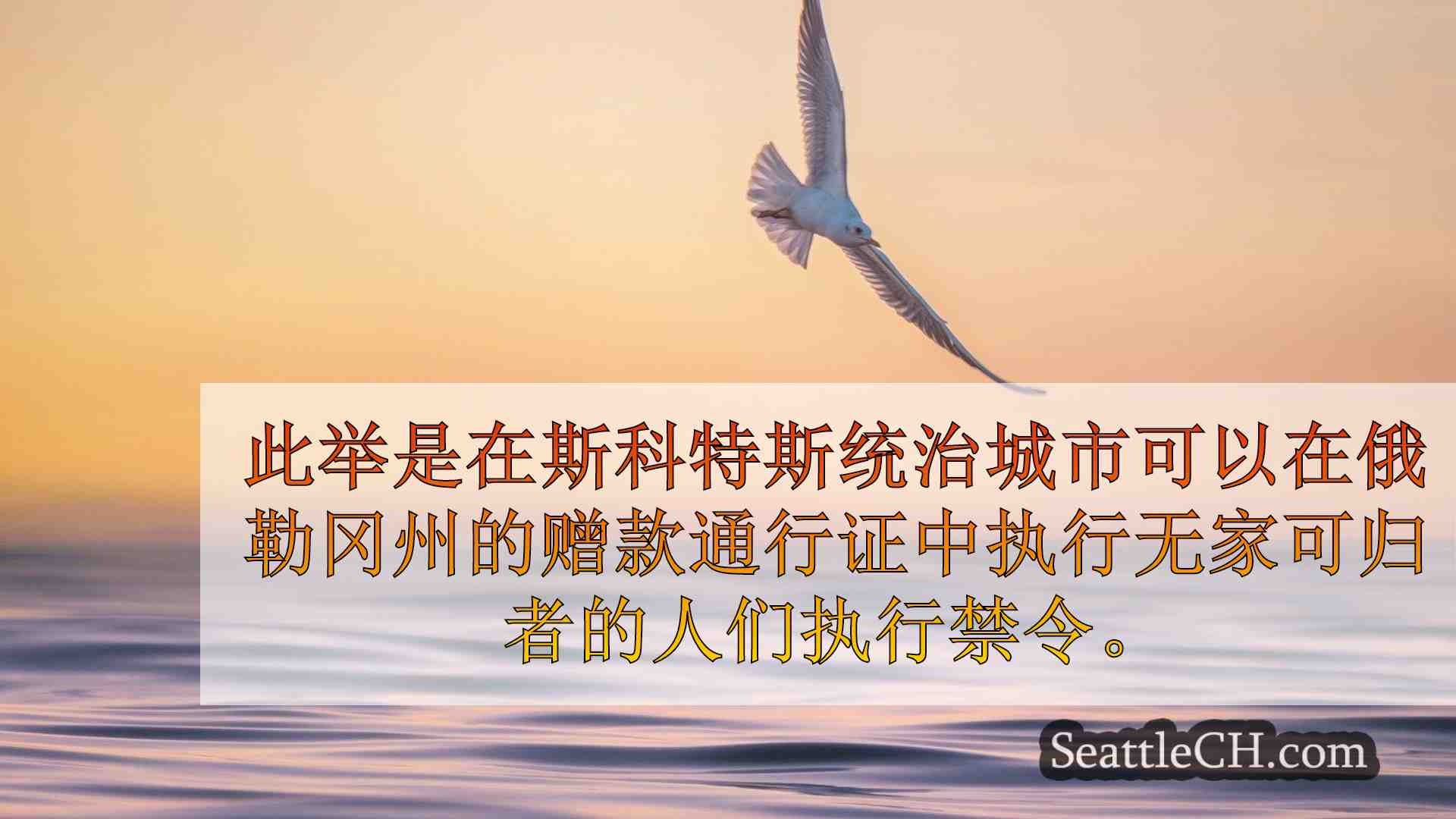 西雅图新闻 SeattleCH