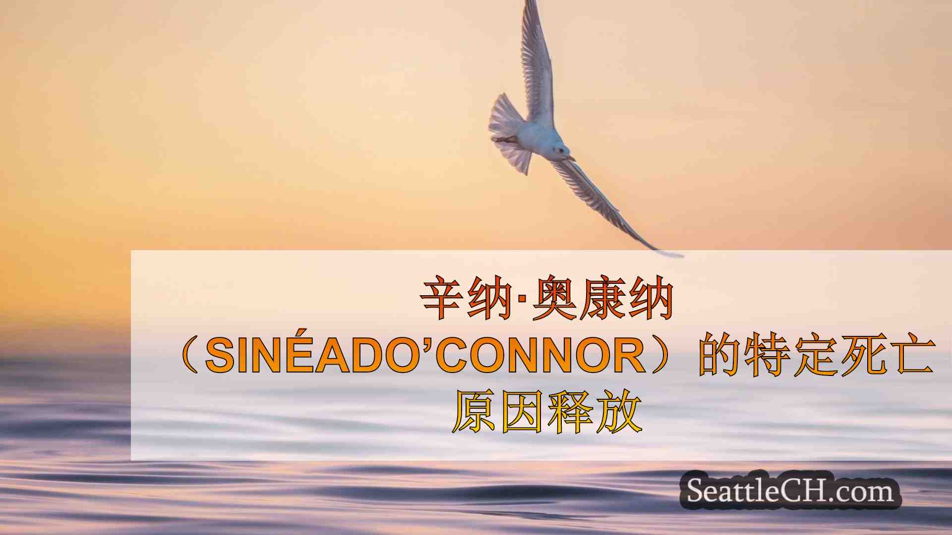 西雅图新闻 SeattleCH