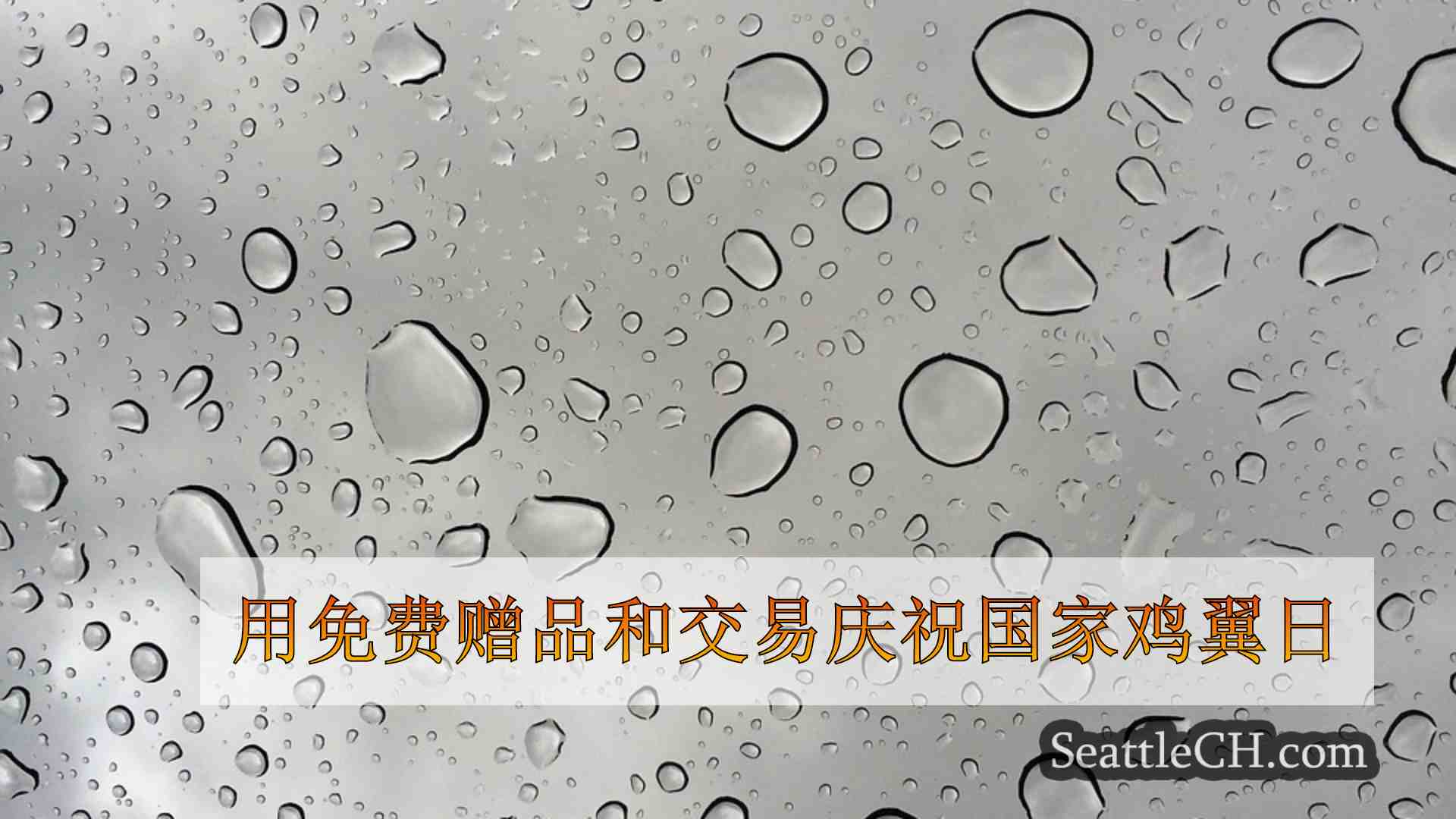西雅图新闻 SeattleCH