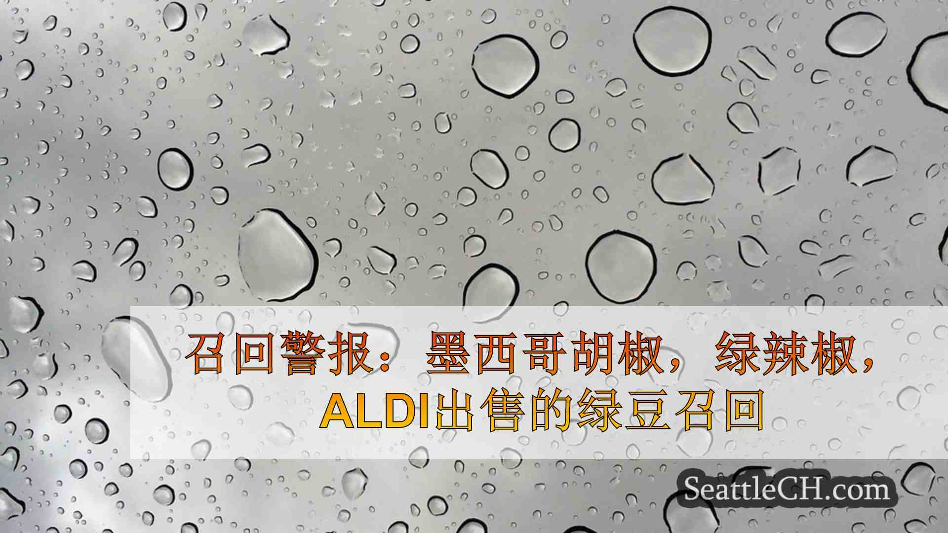 西雅图新闻 SeattleCH