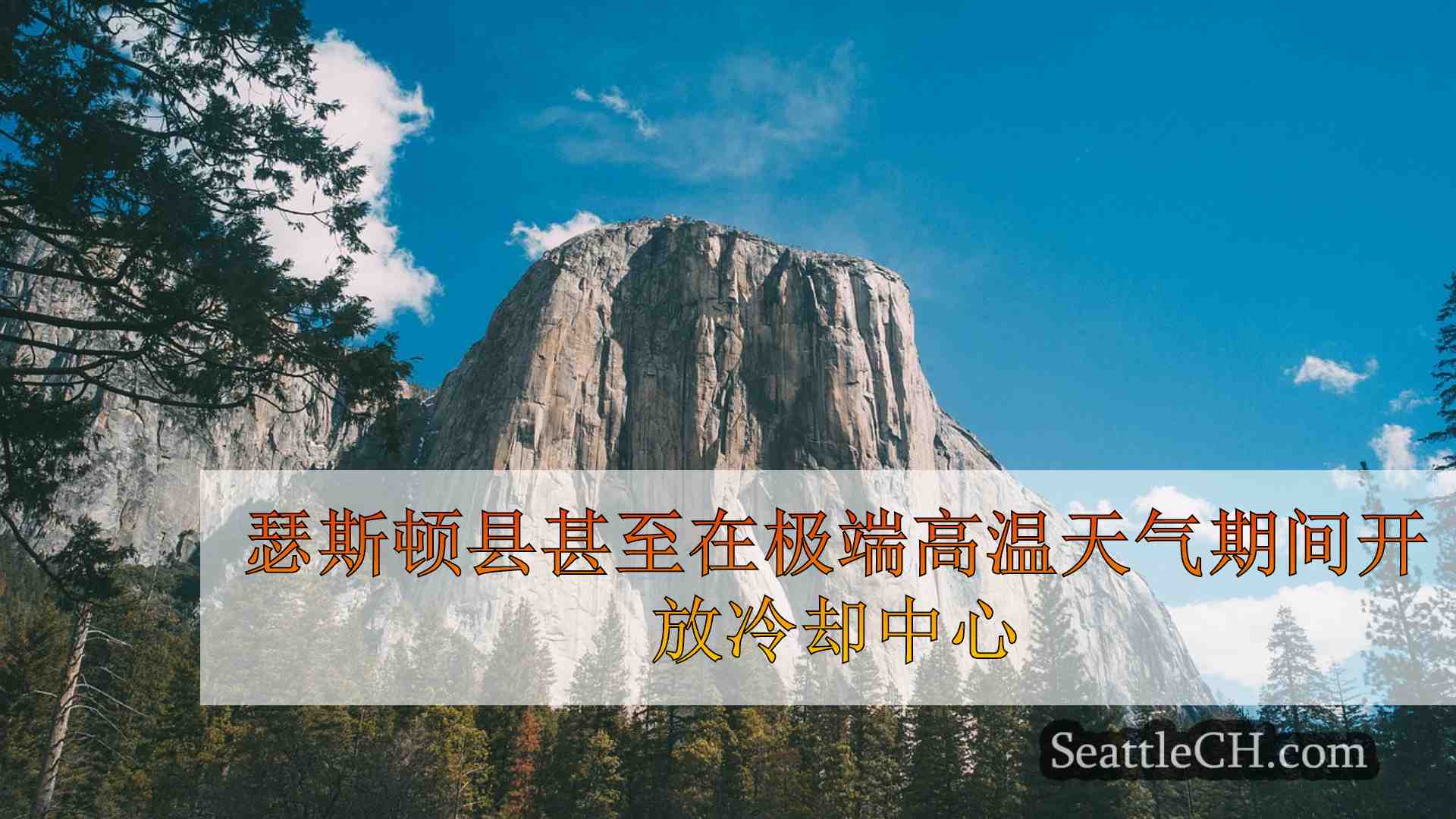 西雅图新闻 SeattleCH