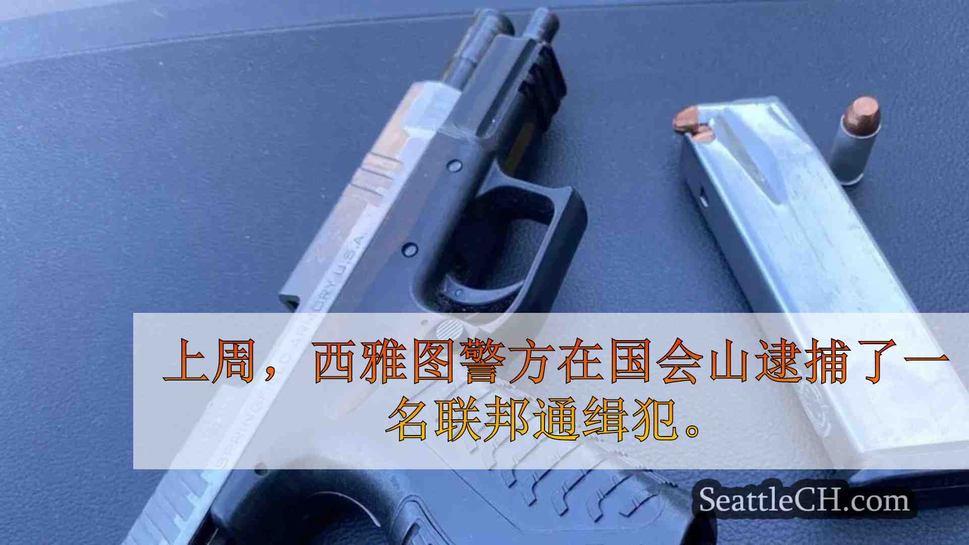 联邦逃犯携带枪支在国会山被捕