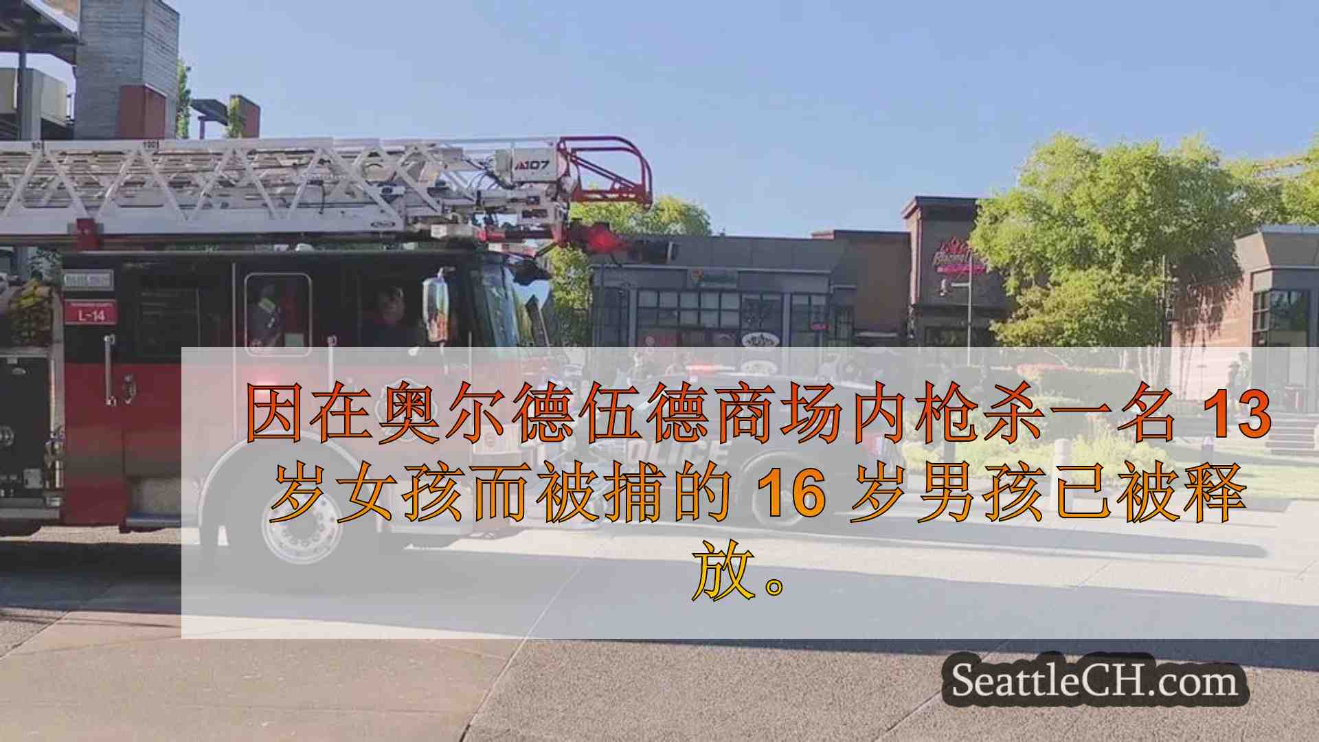 因与奥尔德伍德商场致命枪击案有关而被捕的 16 岁少年获准保释