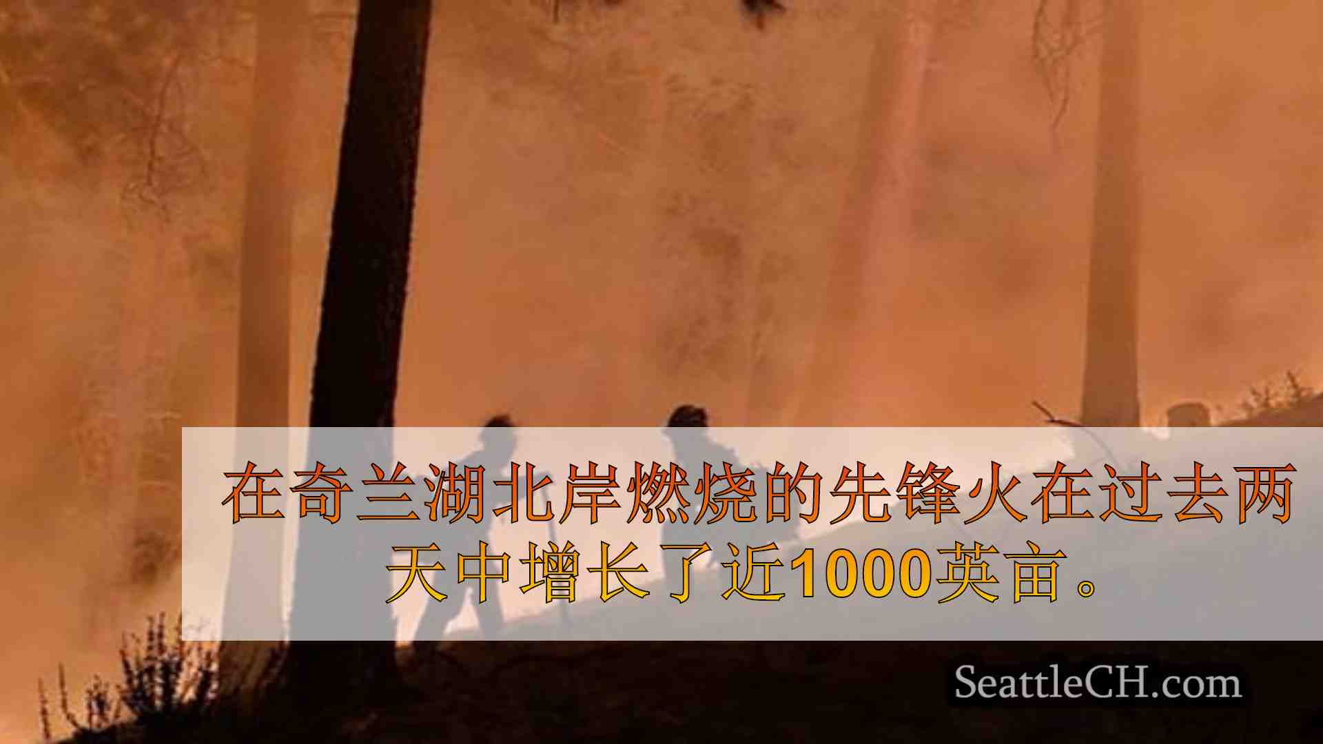 西雅图新闻 SeattleCH