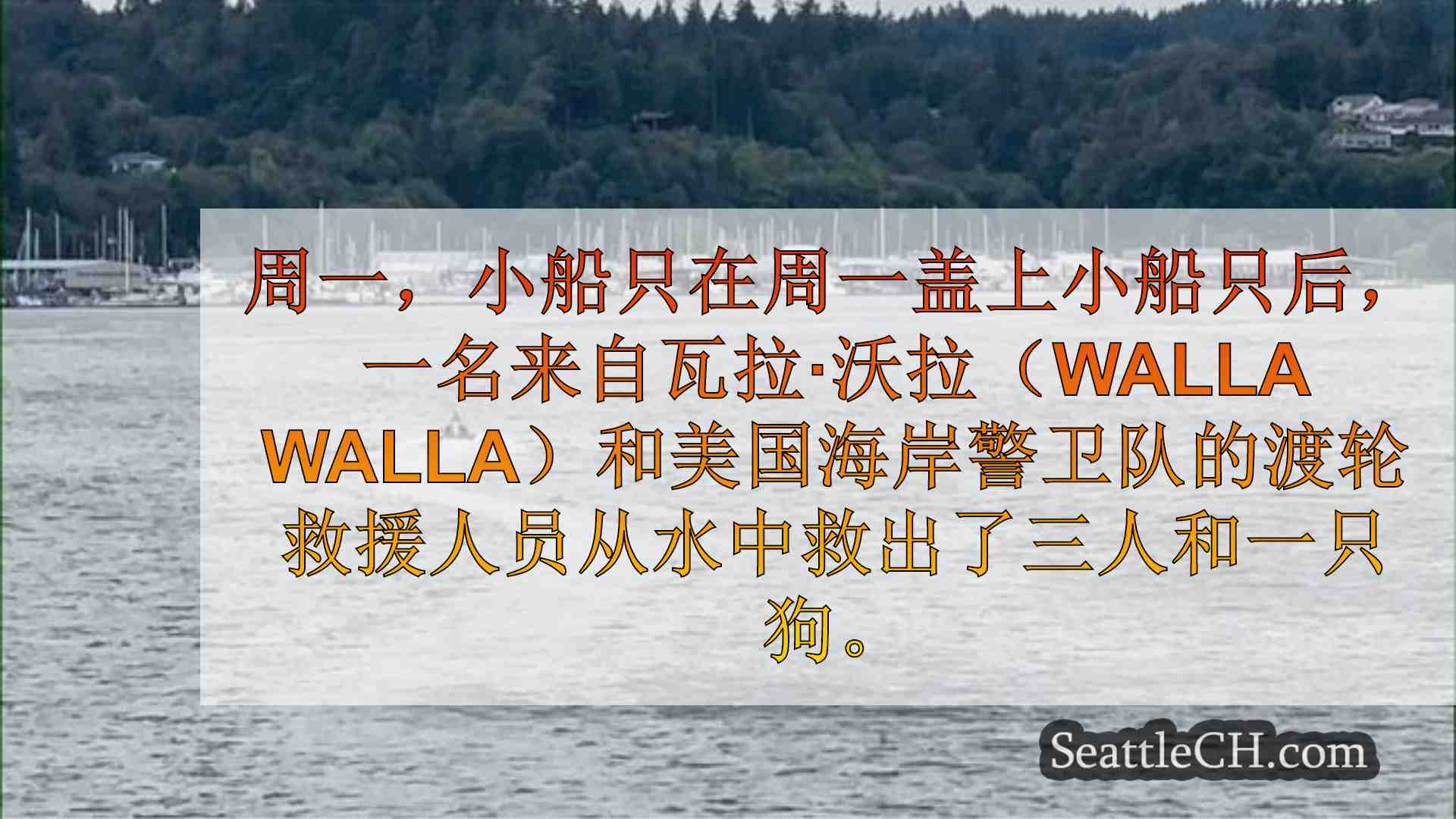 西雅图新闻 SeattleCH