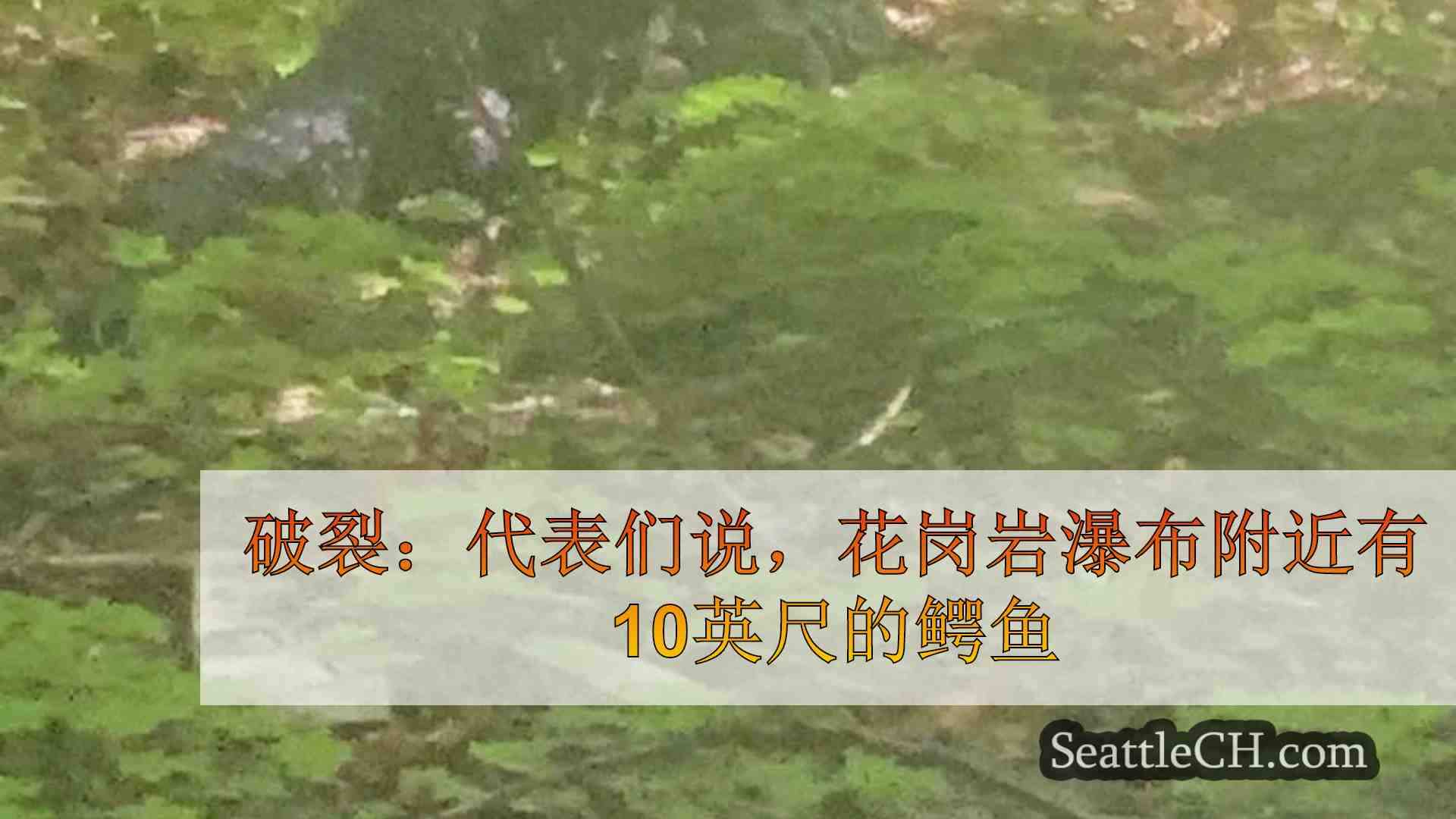 破裂：代表们说，花岗岩瀑布附近有10英尺的鳄鱼