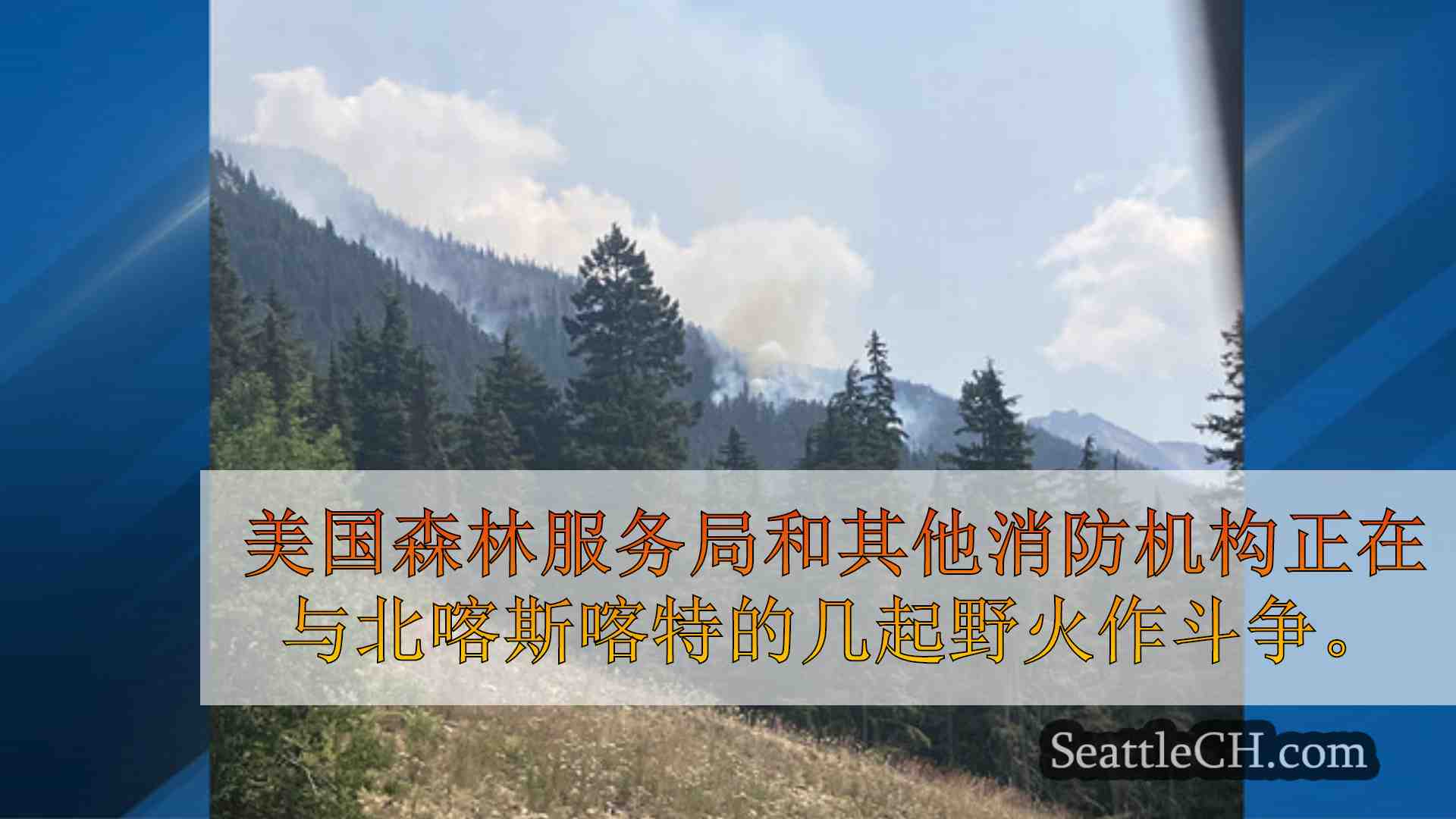 西雅图新闻 SeattleCH