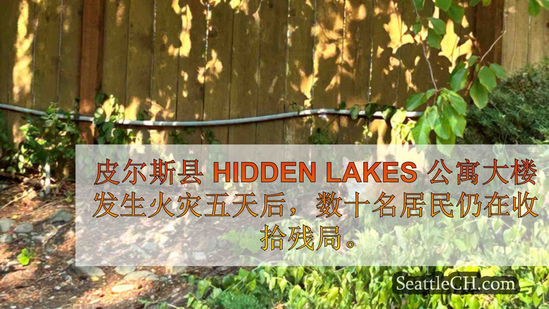 西雅图新闻 SeattleCH
