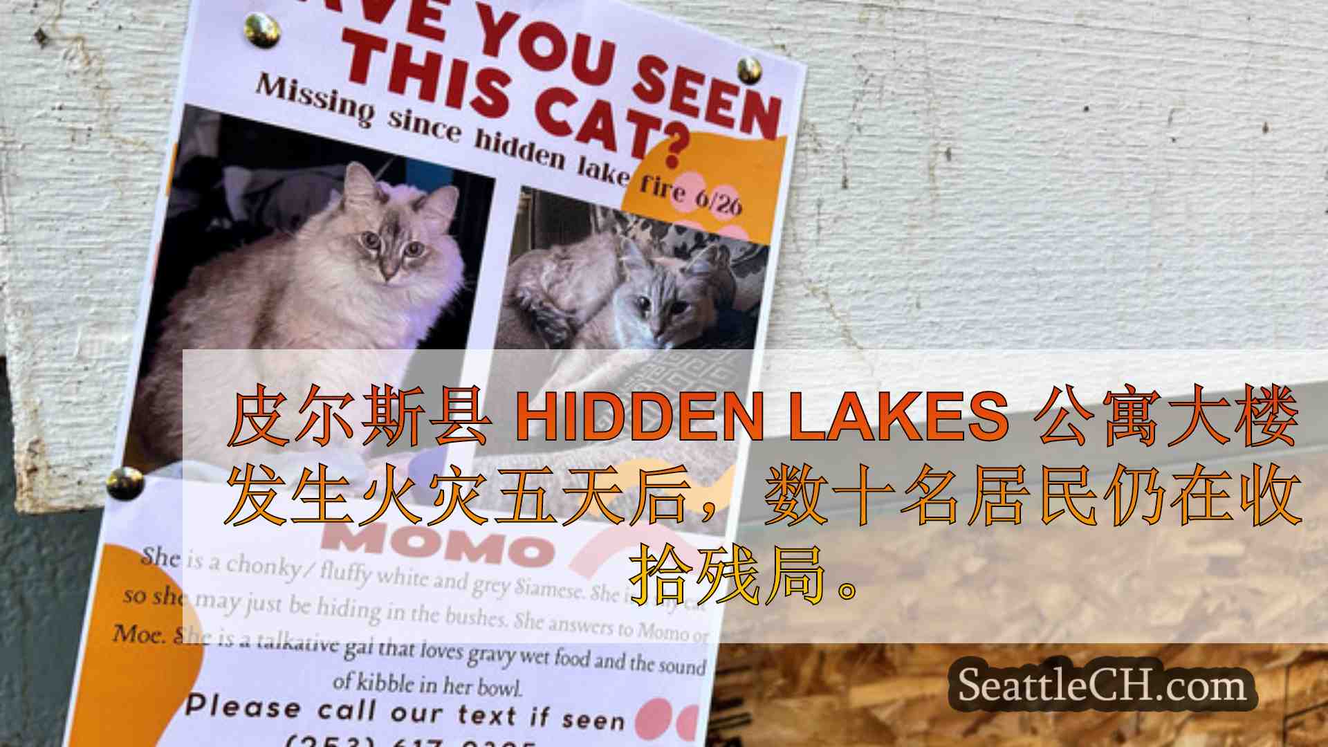 西雅图新闻 SeattleCH