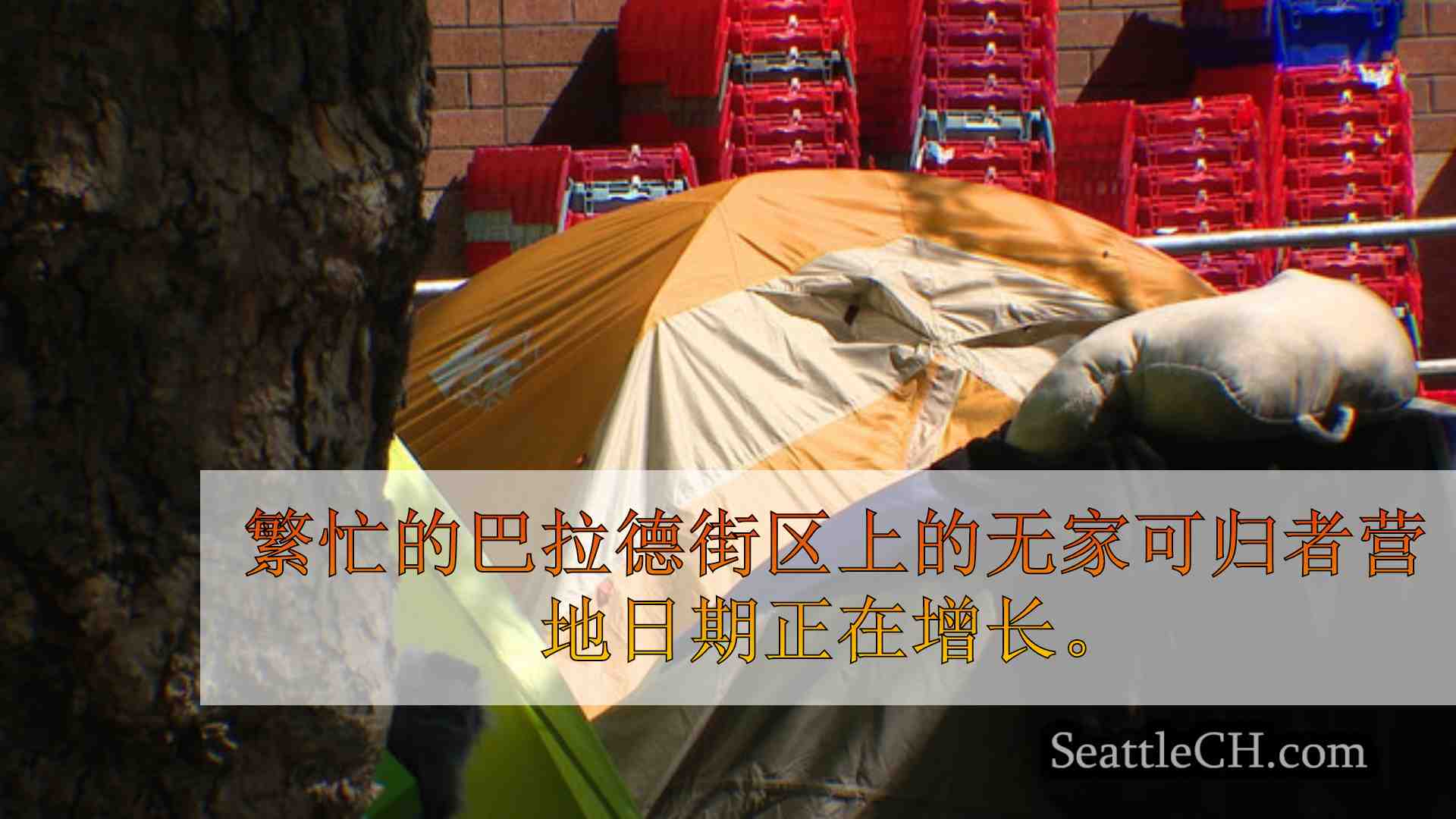 西雅图新闻 SeattleCH
