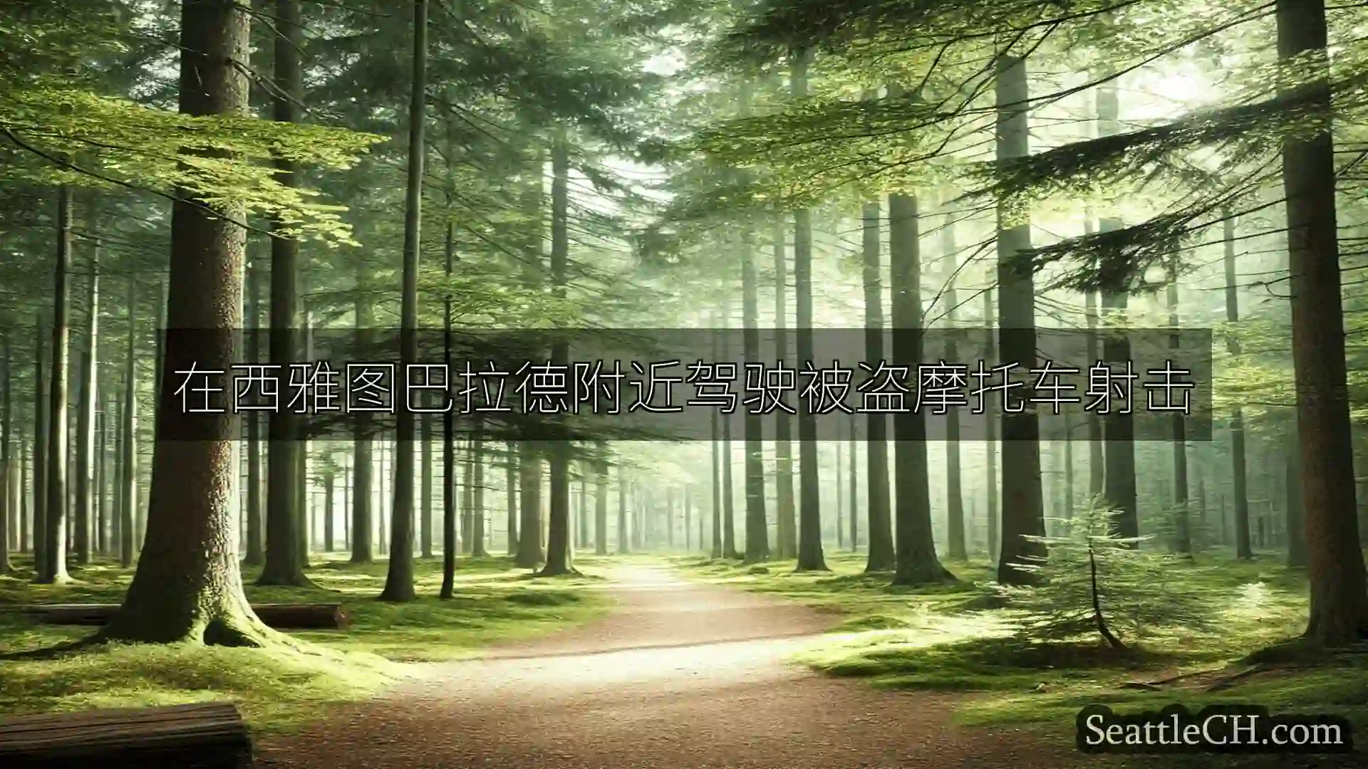 西雅图新闻 在西雅图巴拉德附近驾驶被盗摩托车射击