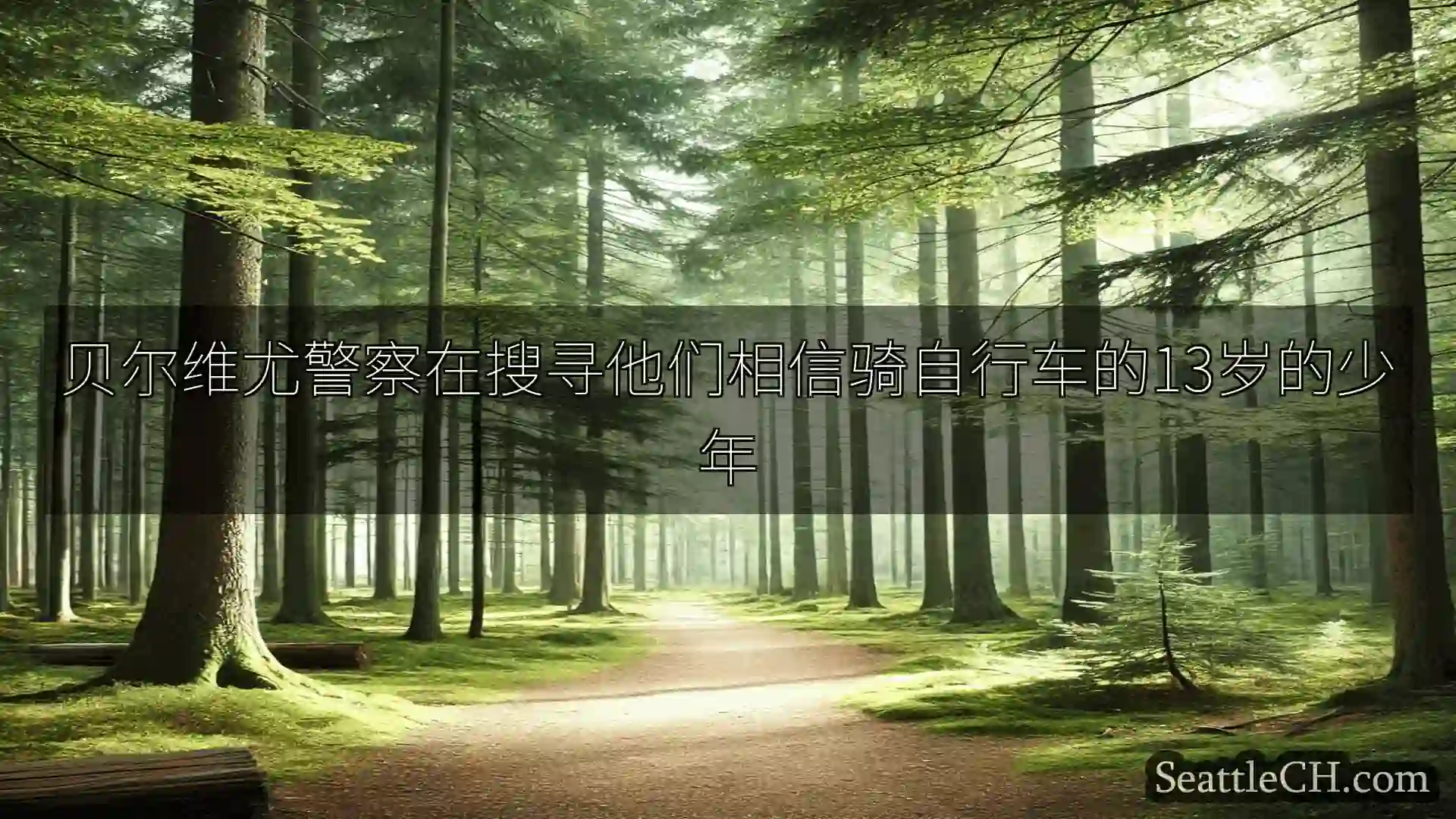 西雅图新闻 贝尔维尤警察在搜寻他们相信骑自行车的13岁的少年
