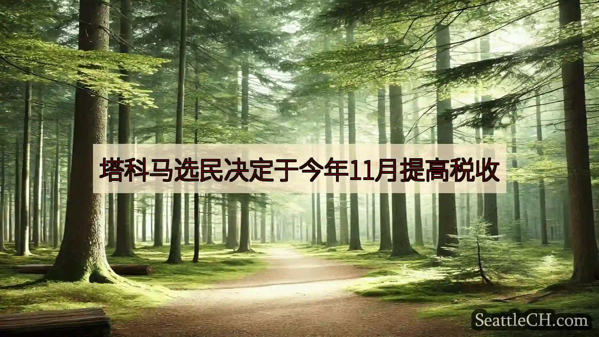 西雅图新闻 塔科马选民决定于今年11月提高税收