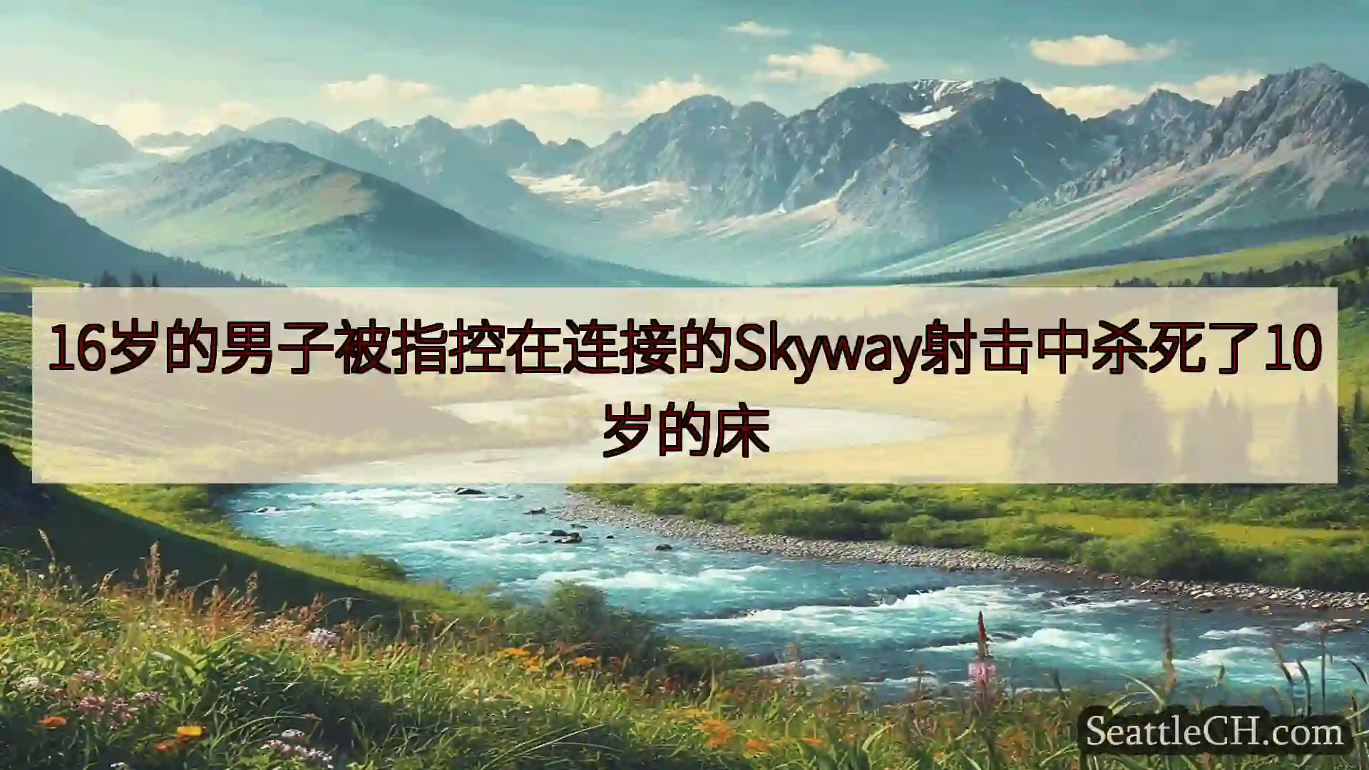 西雅图新闻 16岁的男子被指控在连接的Skyway射击中杀死了10岁的床