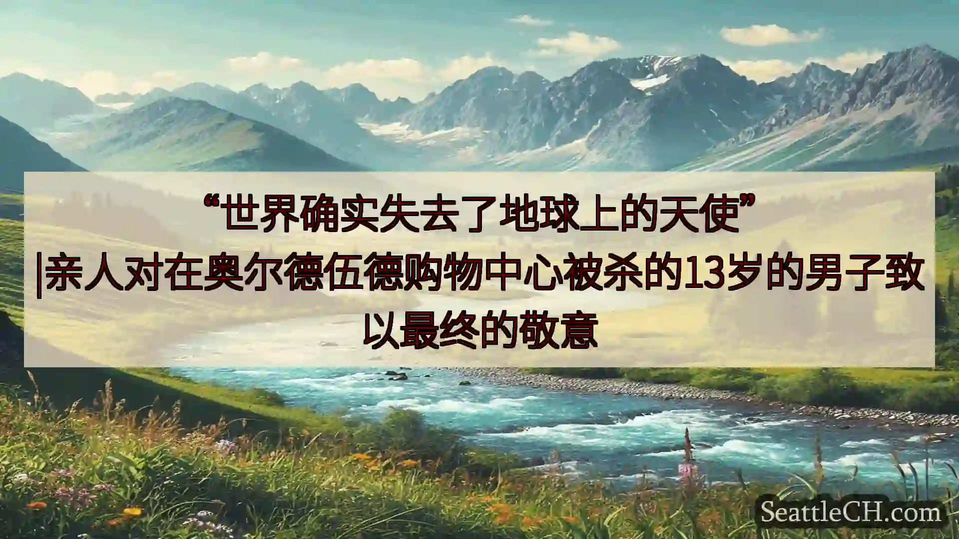 西雅图新闻 “世界确实失去了地球上的天使”