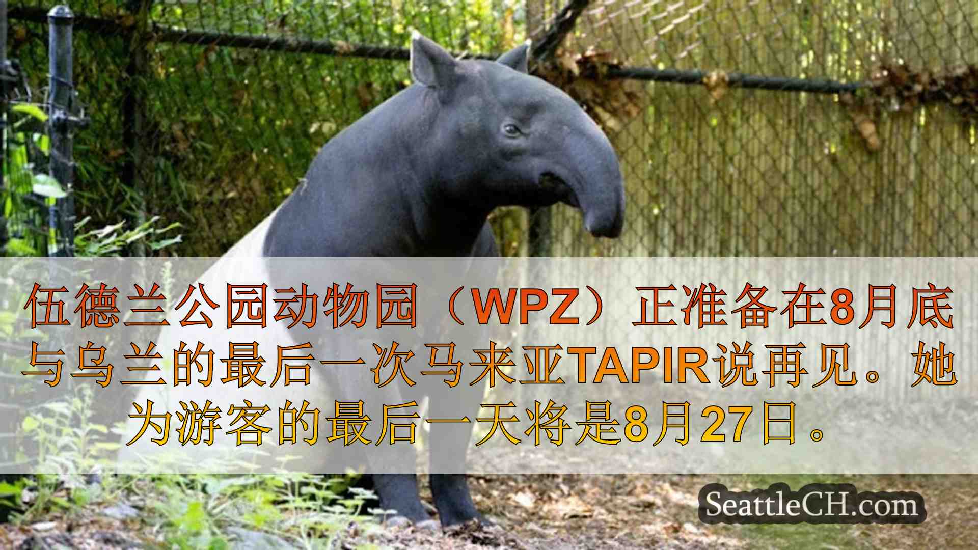 伍德兰公园动物园（Woodland Park