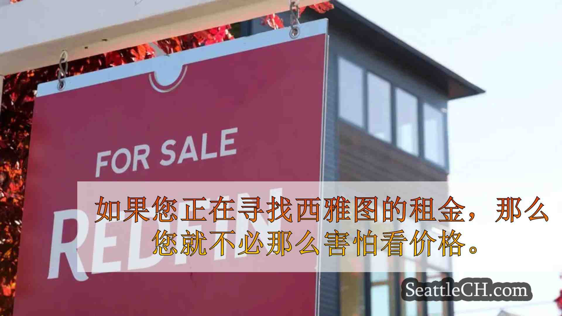 专家将西雅图的租金降低到分区改革，住房供应增加
