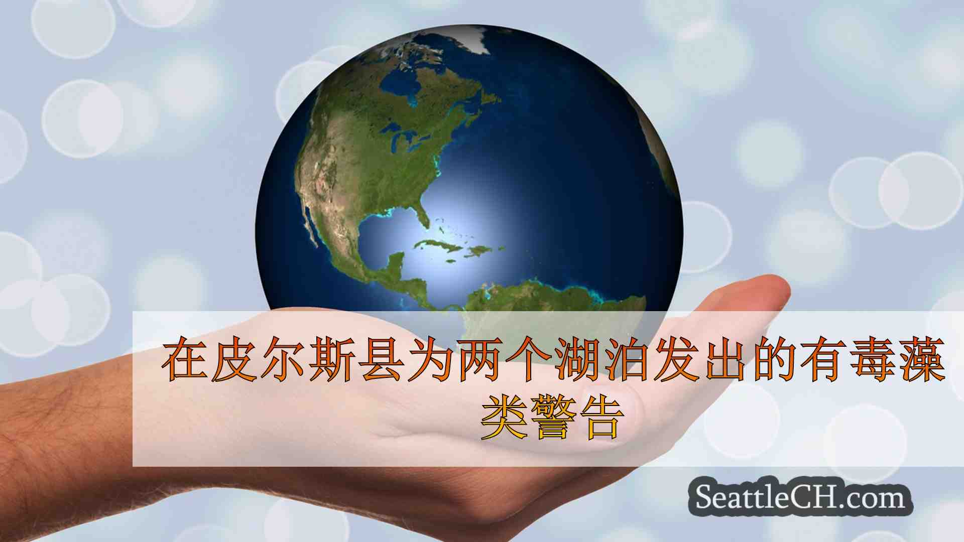 西雅图新闻 SeattleCH