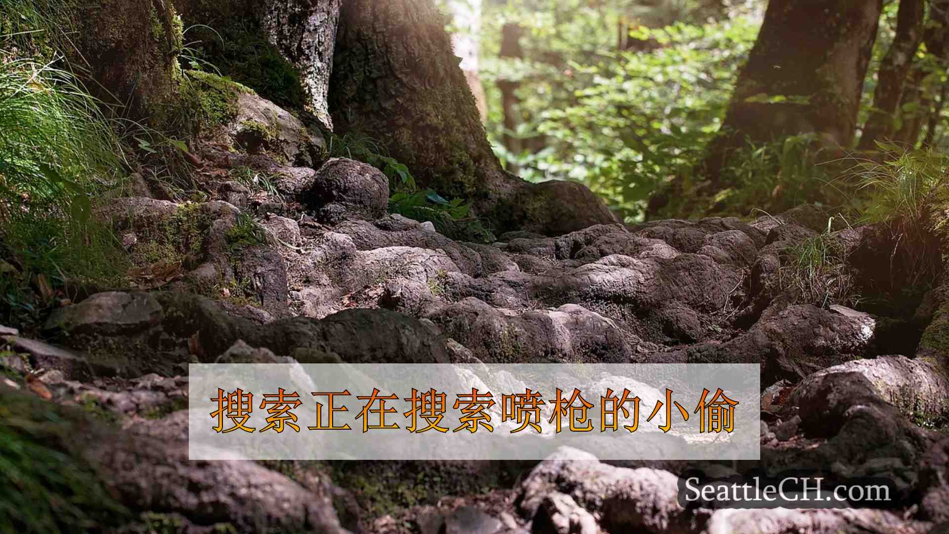 西雅图新闻 SeattleCH
