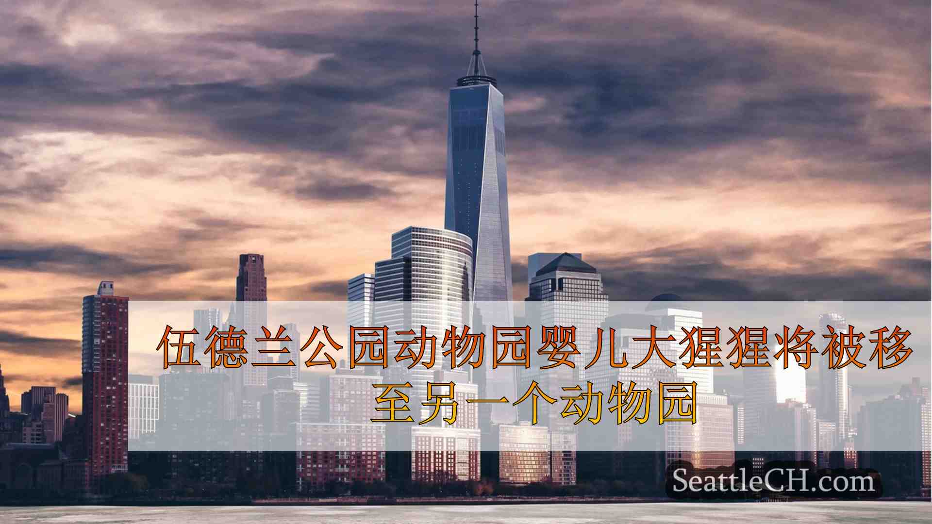 西雅图新闻 SeattleCH