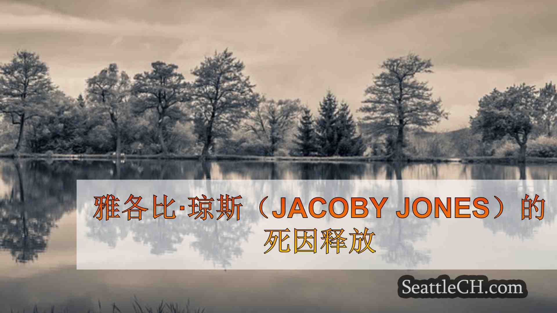 西雅图新闻 SeattleCH