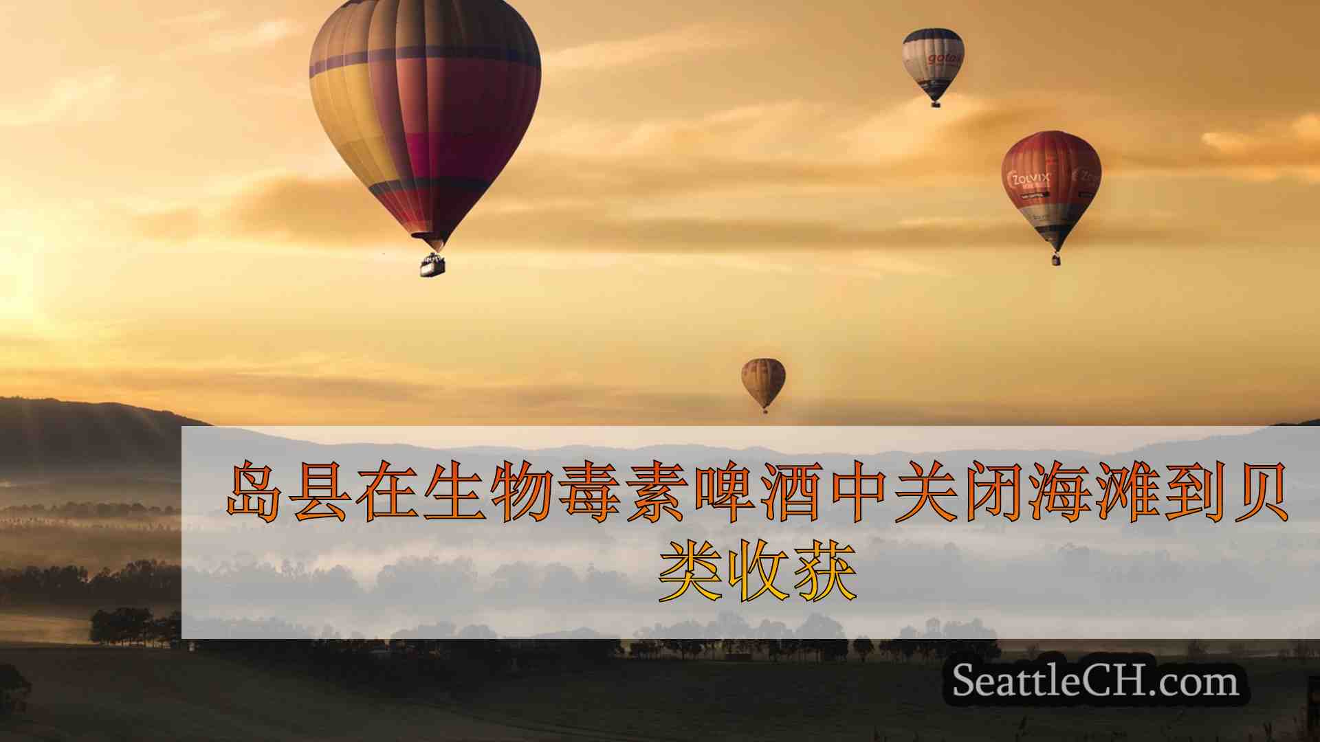 西雅图新闻 SeattleCH