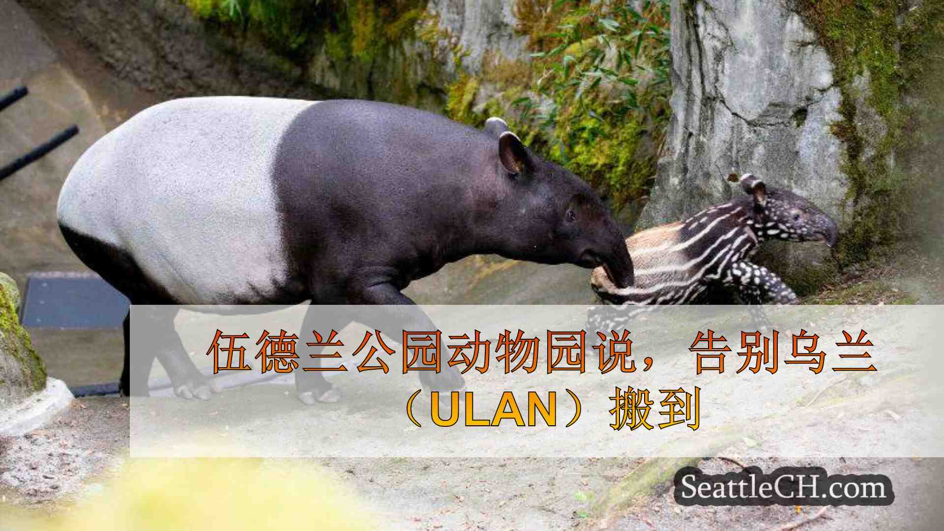 伍德兰公园动物园（Woodland Park