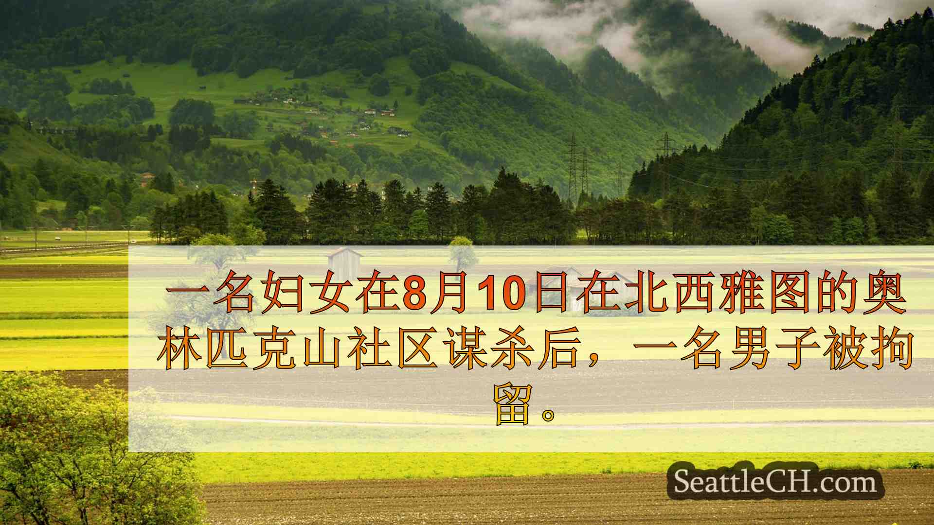 西雅图新闻 SeattleCH
