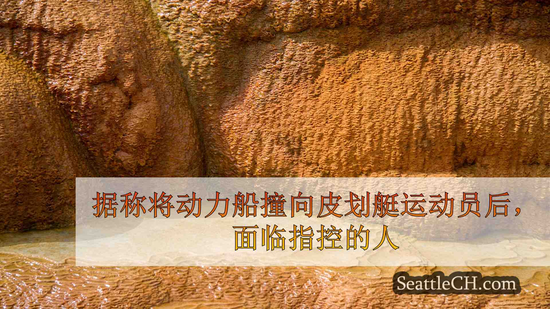 西雅图新闻 SeattleCH