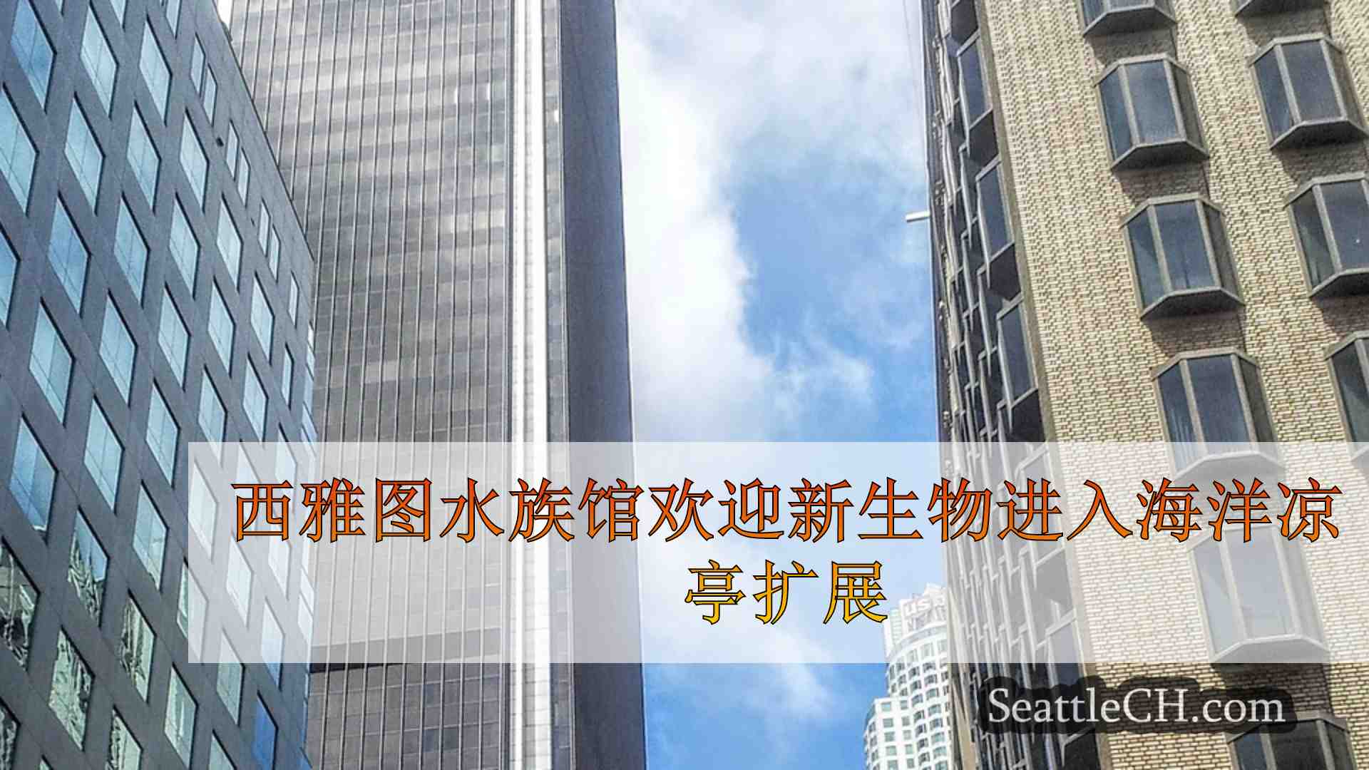 西雅图新闻 SeattleCH