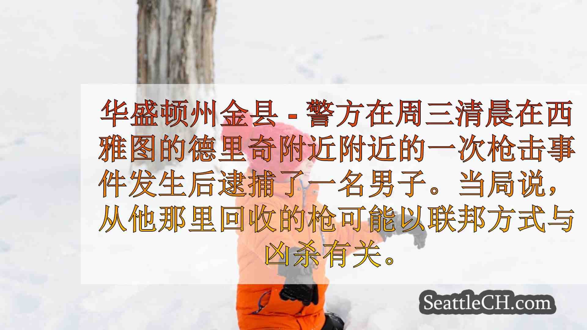 西雅图新闻 SeattleCH