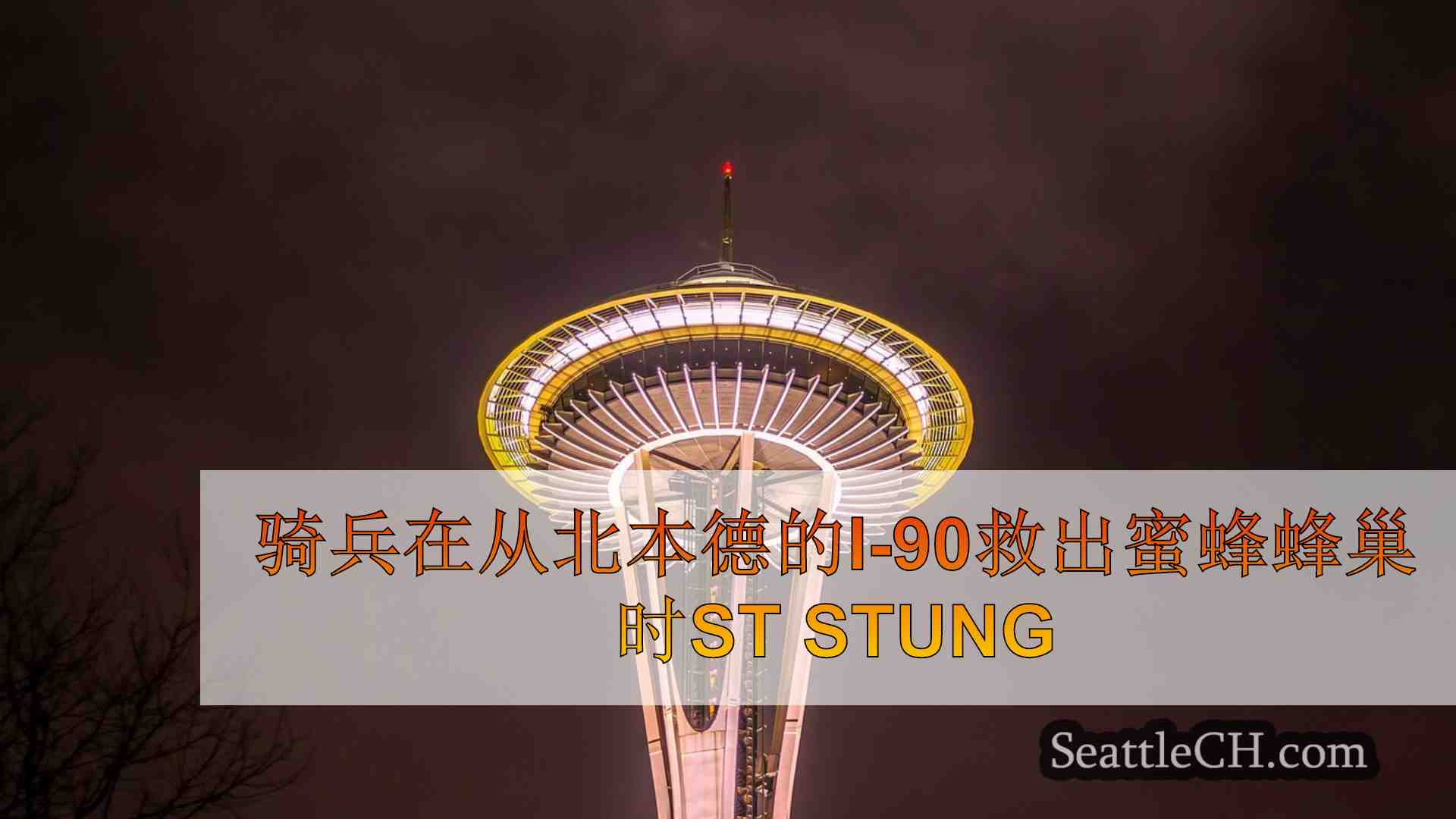 西雅图新闻 SeattleCH