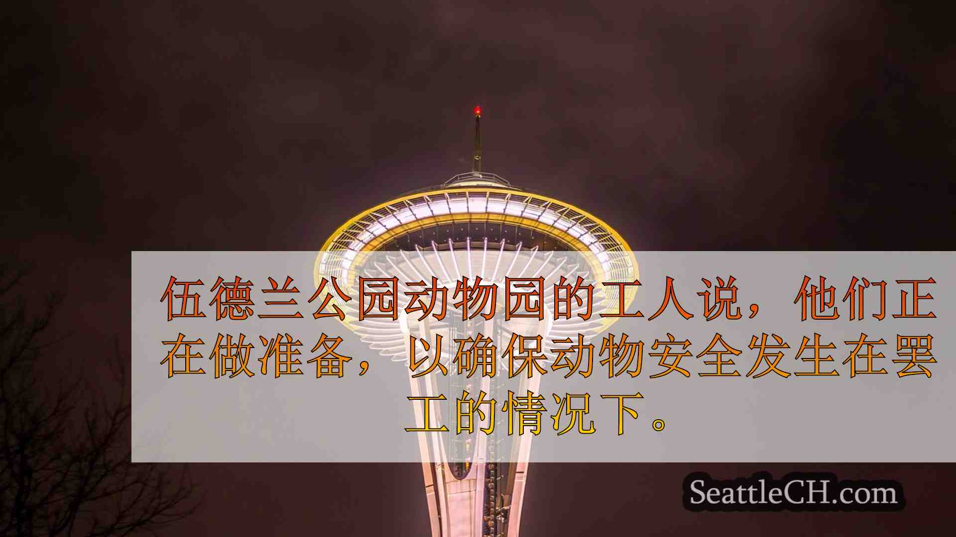 西雅图新闻 SeattleCH
