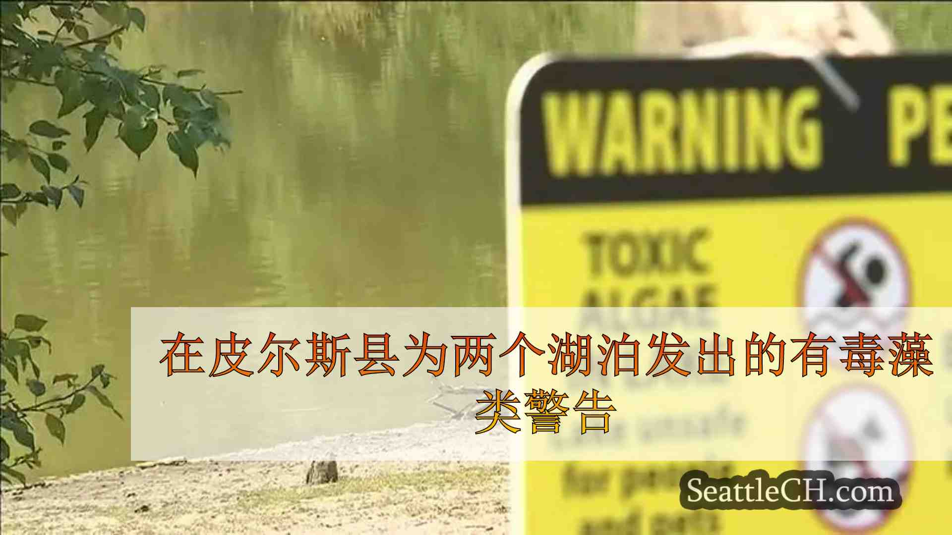 在皮尔斯县为两个湖泊发出的有毒藻类警告