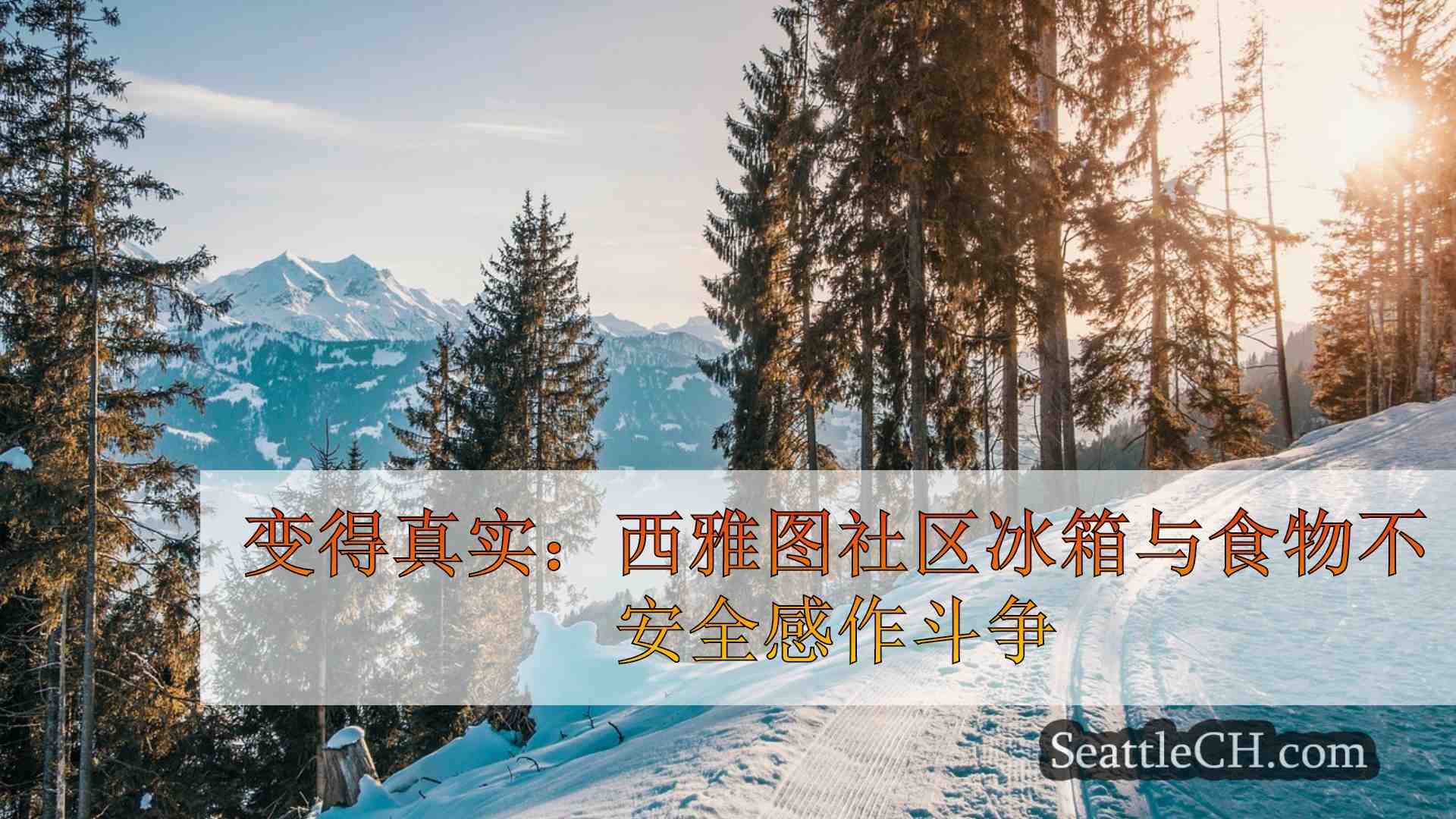 西雅图新闻 SeattleCH