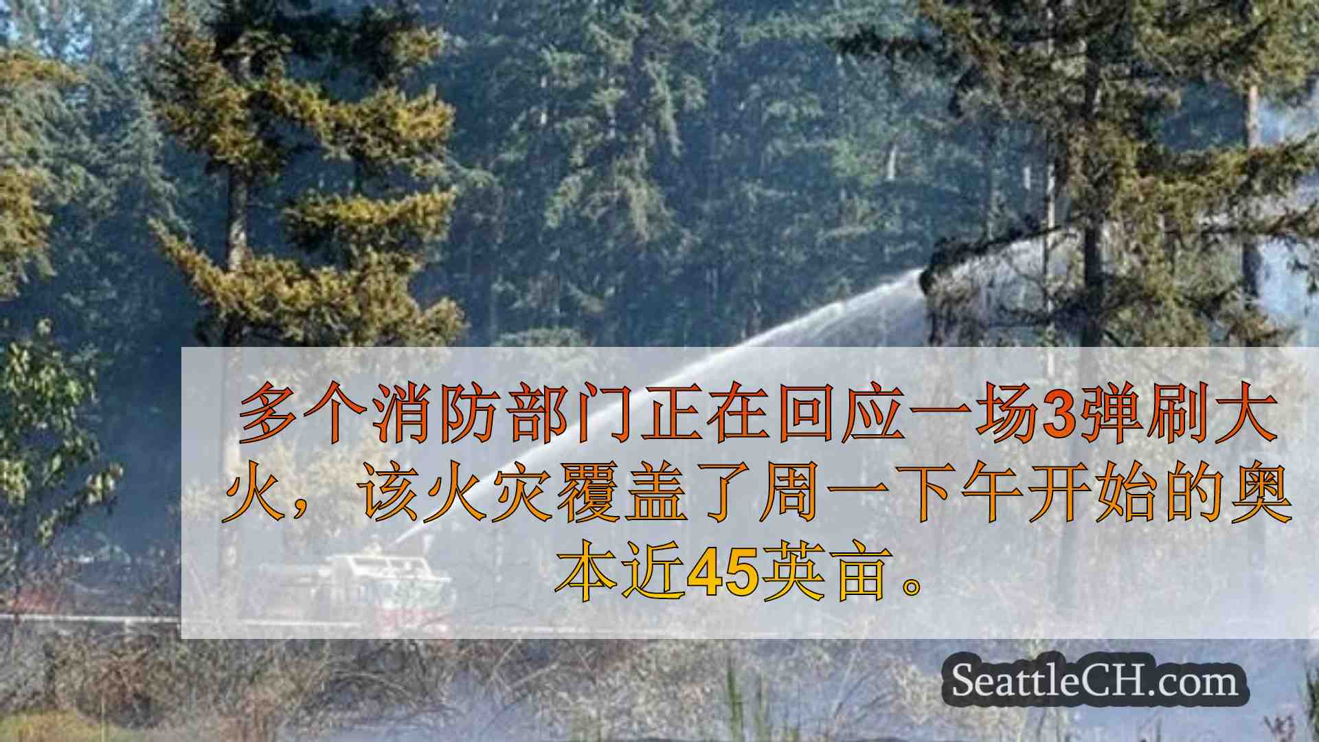 西雅图新闻 SeattleCH