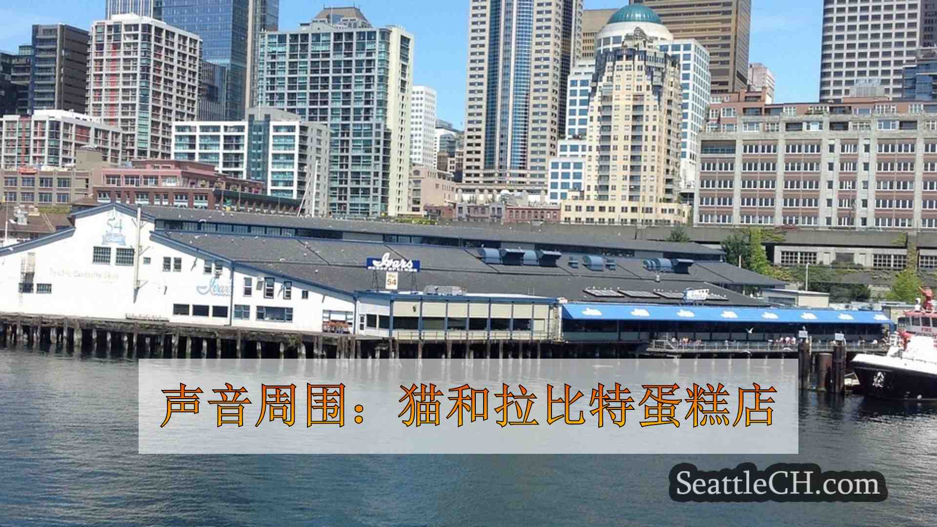 声音周围：猫和拉比特蛋糕店