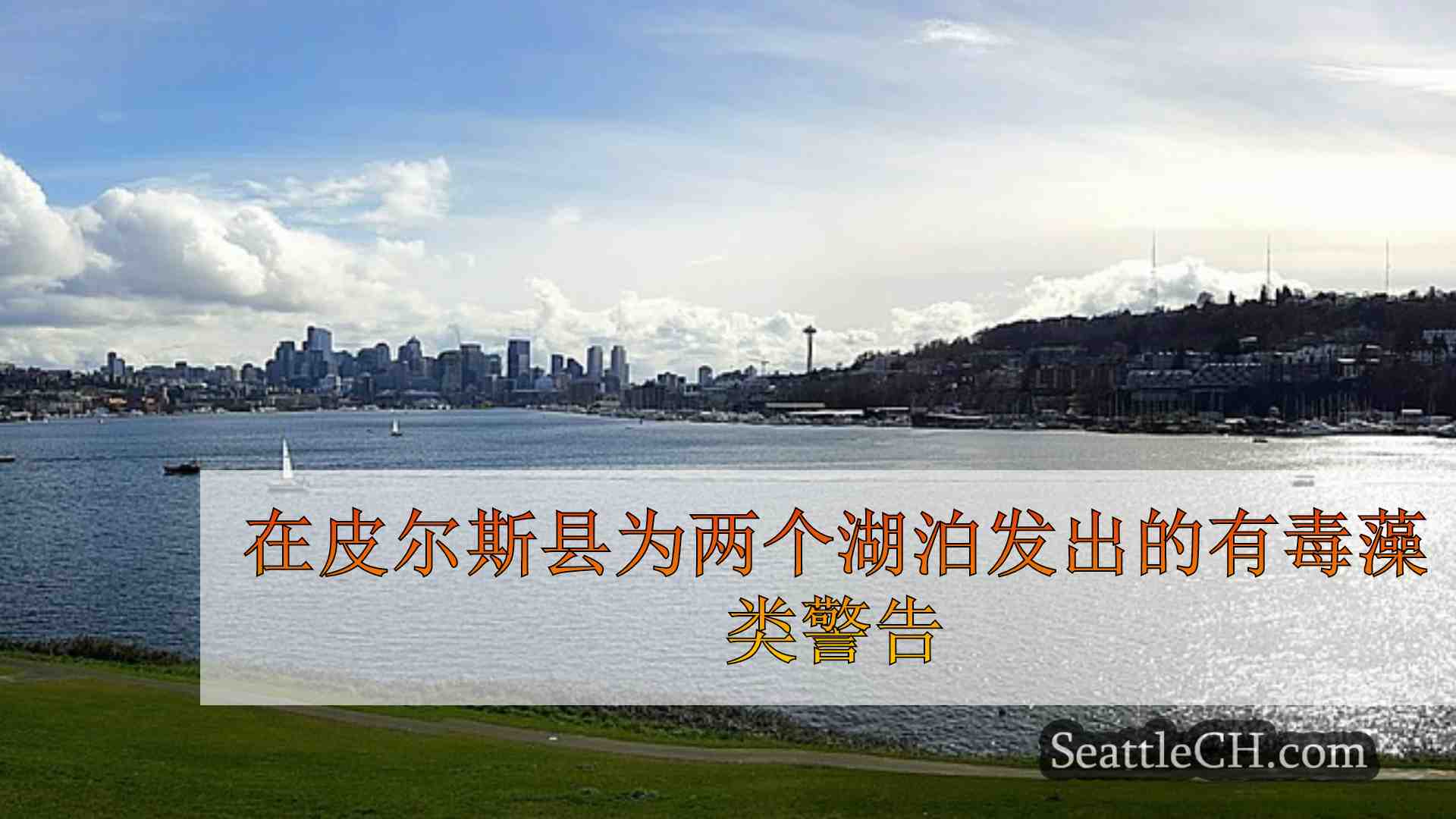 西雅图新闻 SeattleCH