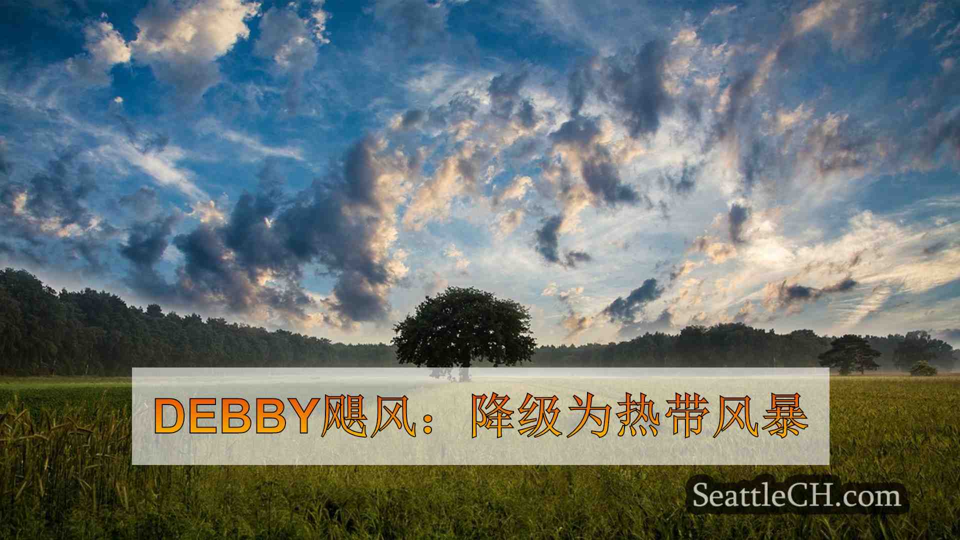 Debby飓风：降级为热带风暴