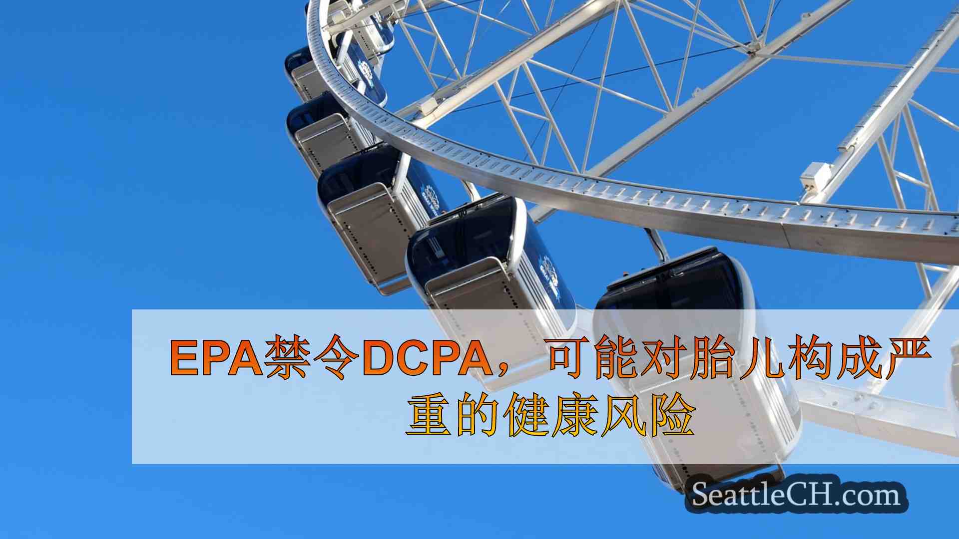 西雅图新闻 SeattleCH