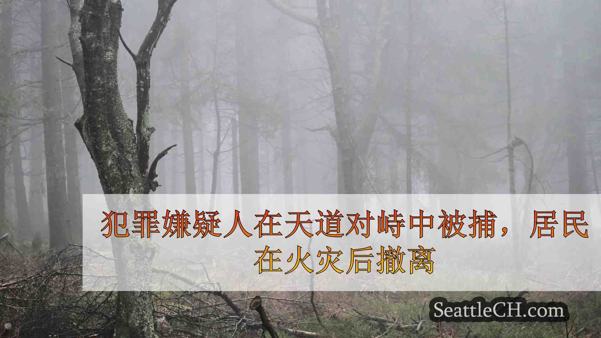 西雅图新闻 SeattleCH