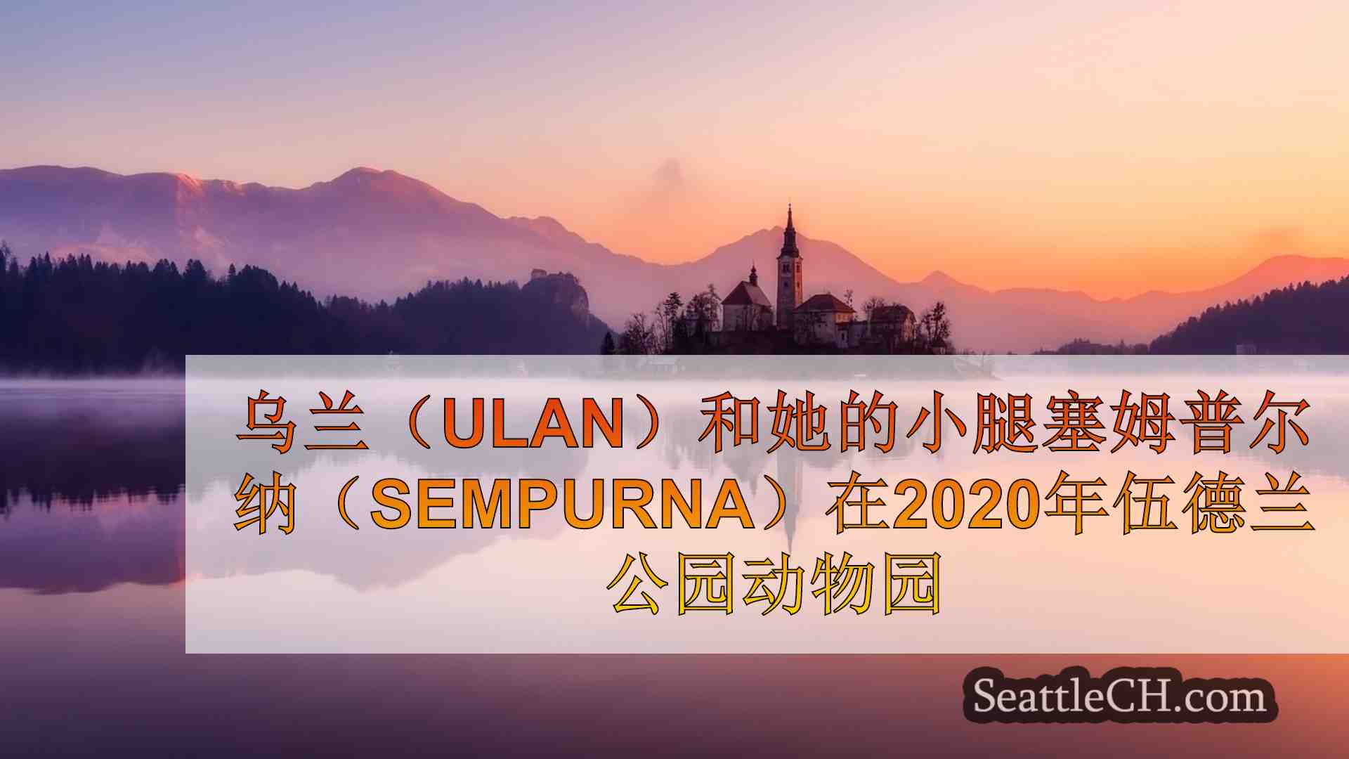 西雅图新闻 SeattleCH