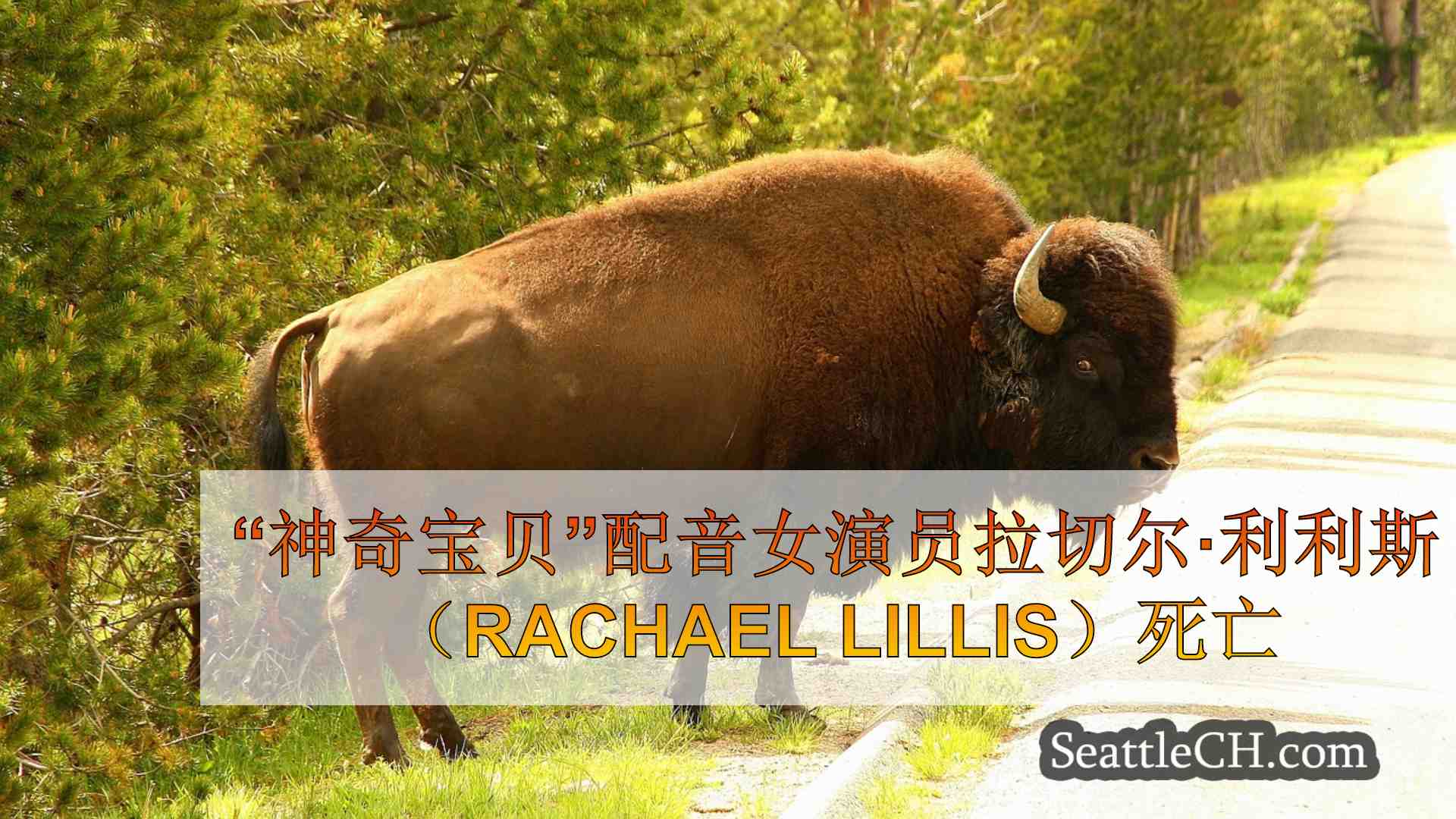 西雅图新闻 SeattleCH