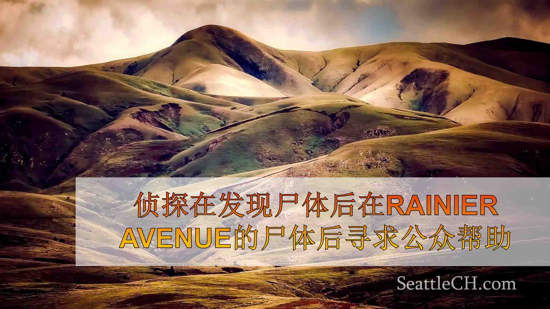 西雅图新闻 SeattleCH