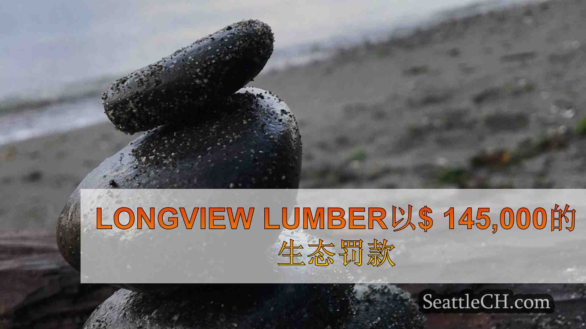 西雅图新闻 SeattleCH