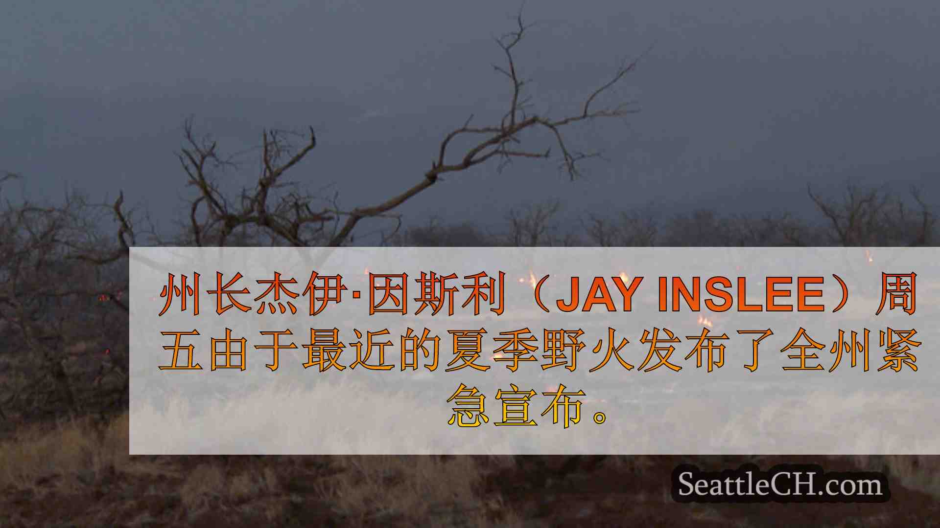 西雅图新闻 SeattleCH