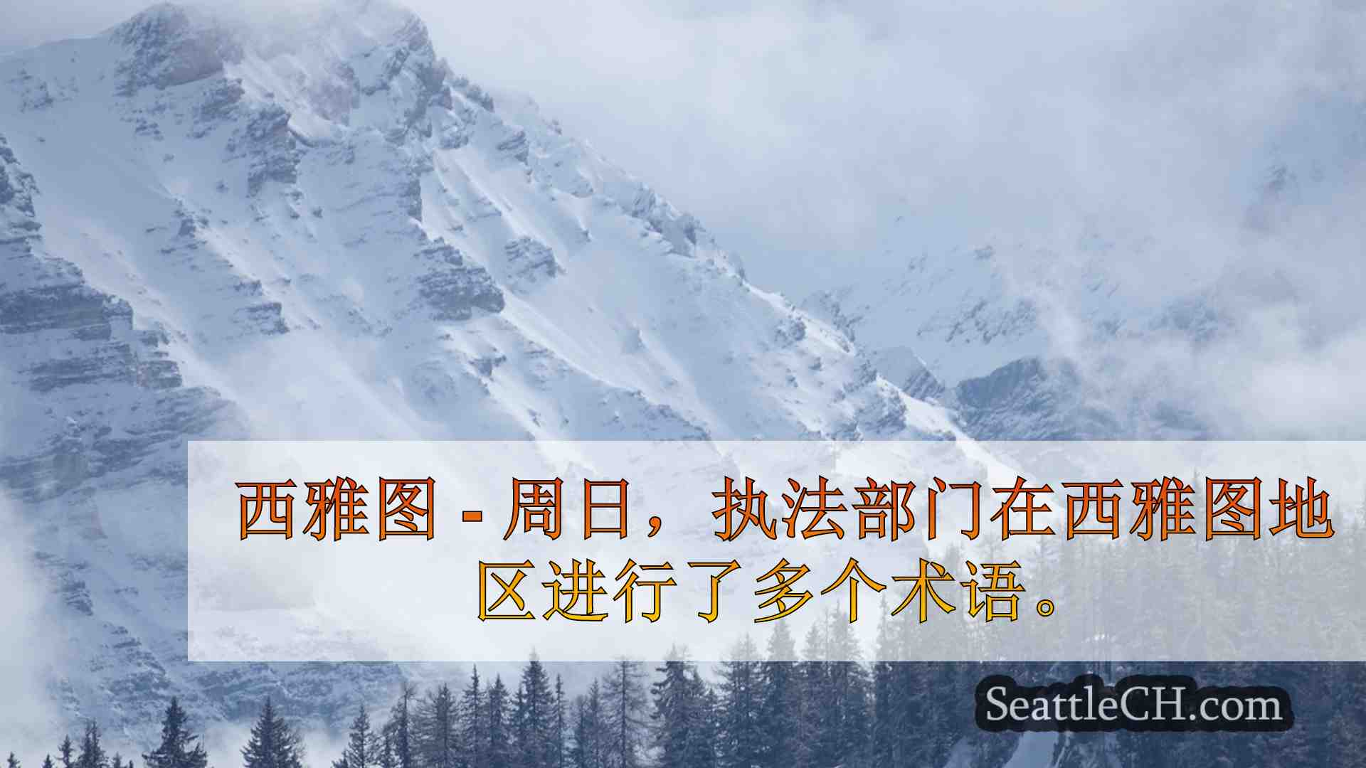西雅图新闻 SeattleCH